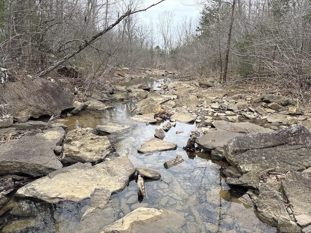 2319 Wildemar Lane  Leslie, AR