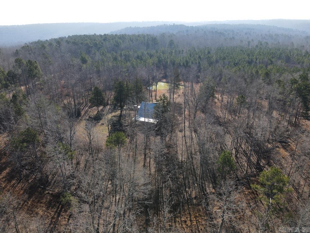 2319 Wildemar Lane  Leslie, AR