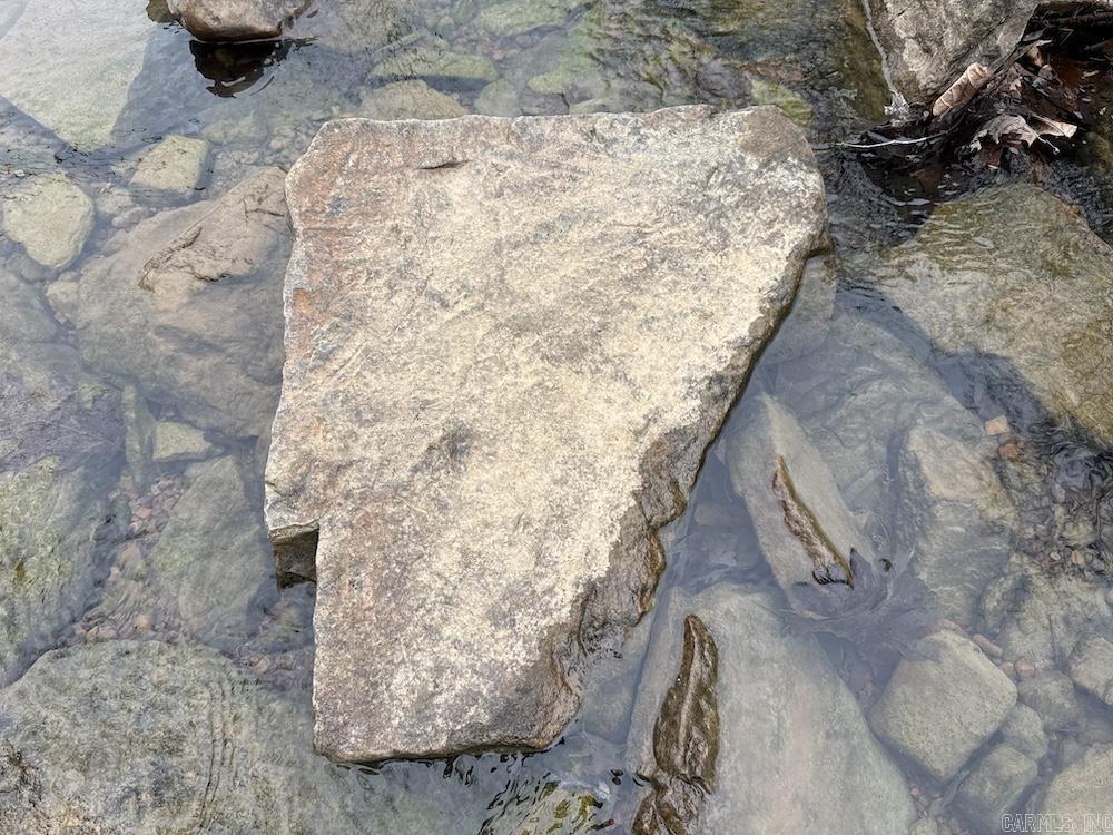 2319 Wildemar Lane  Leslie, AR