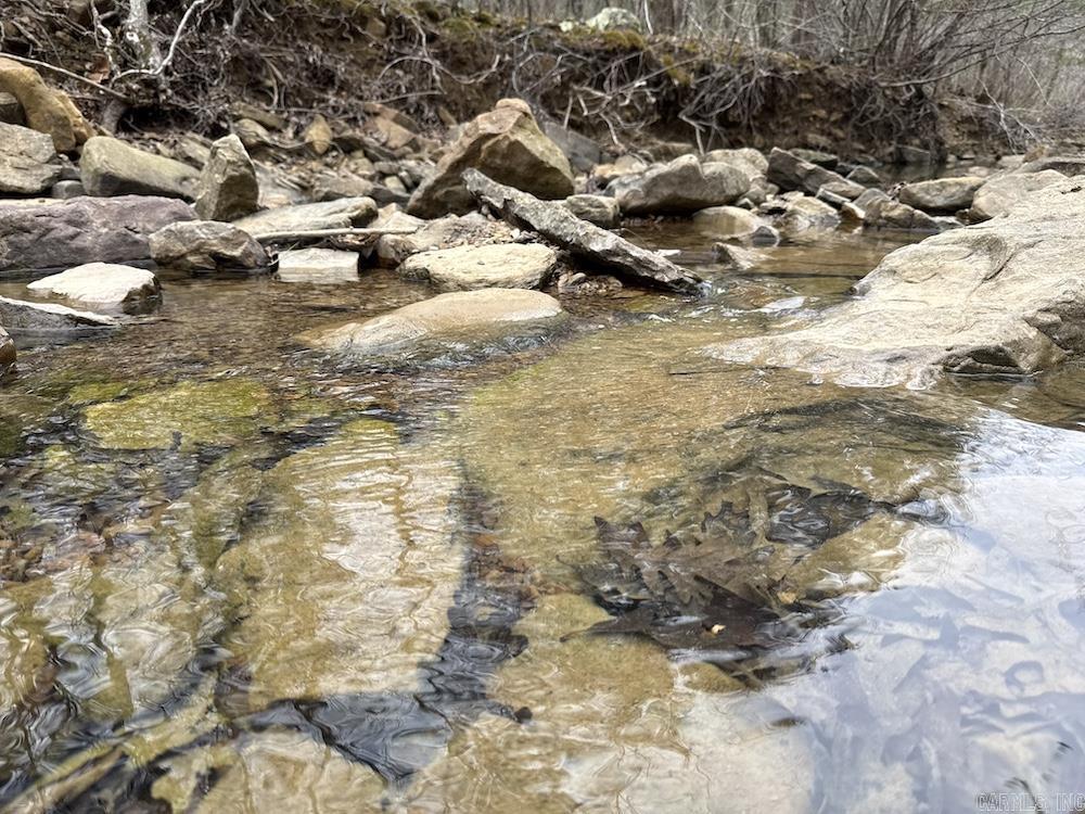 2319 Wildemar Lane  Leslie, AR