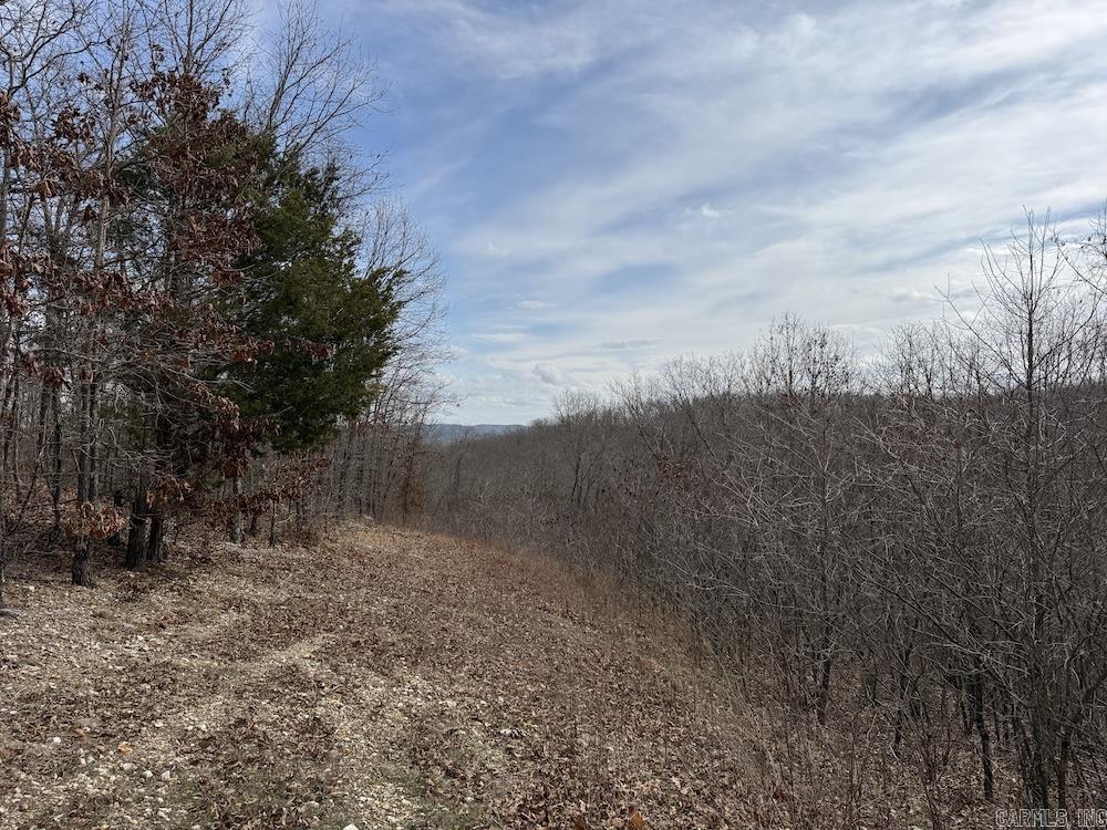 198 Mill Springs Road  Saint Joe, AR