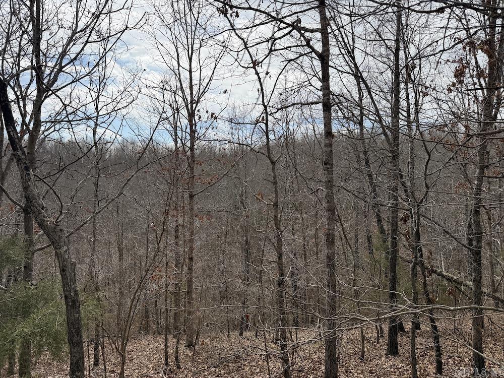 198 Mill Springs Road  Saint Joe, AR