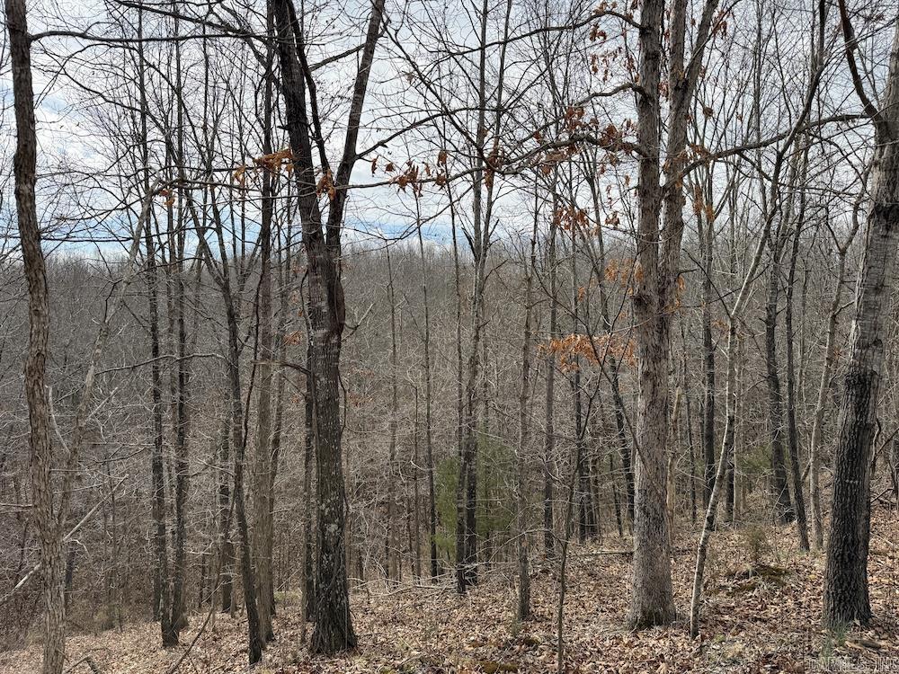 198 Mill Springs Road  Saint Joe, AR