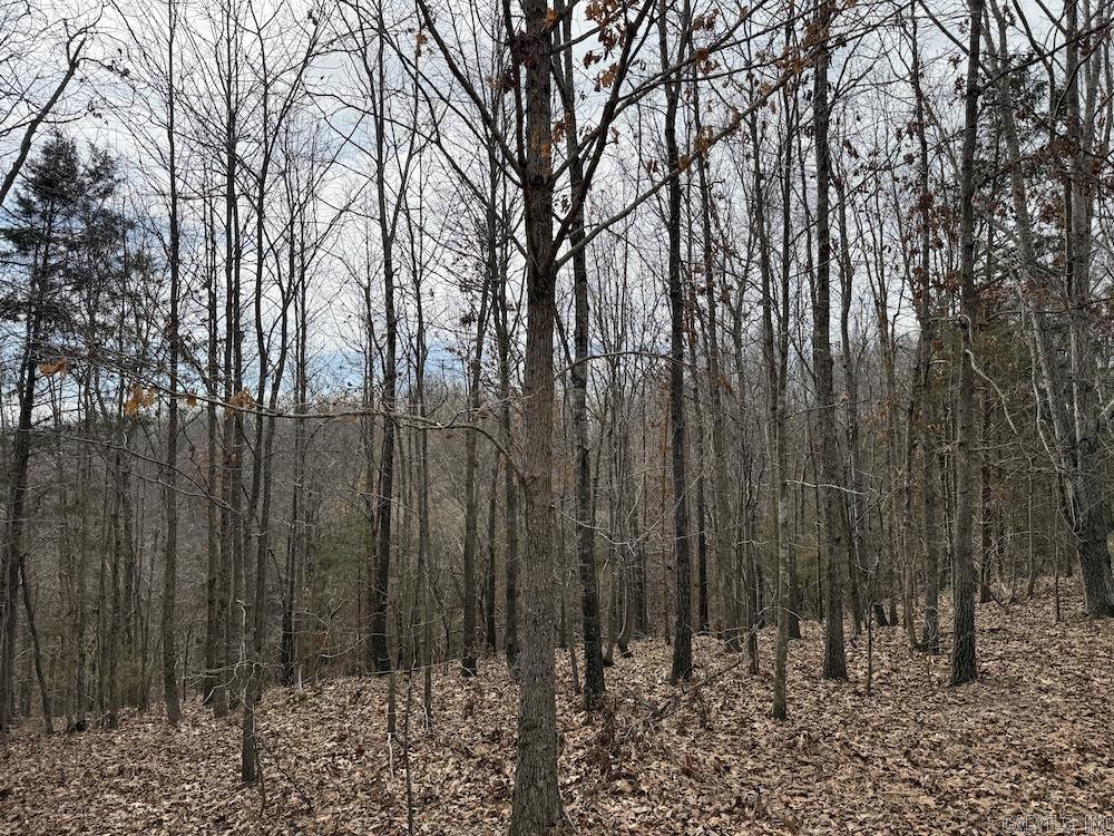 198 Mill Springs Road  Saint Joe, AR