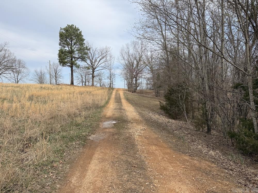 198 Mill Springs Road  Saint Joe, AR