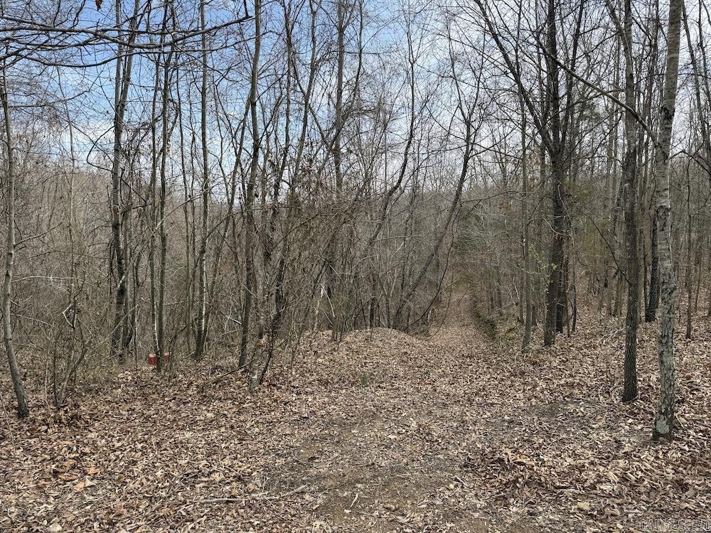 198 Mill Springs Road  Saint Joe, AR