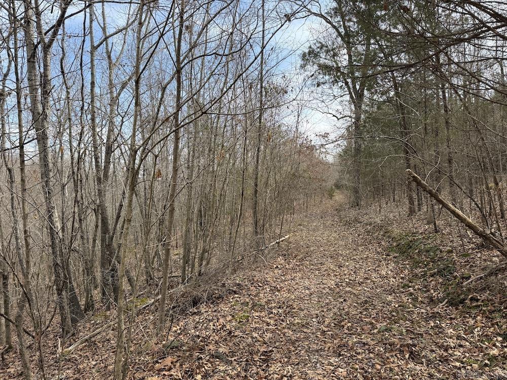 198 Mill Springs Road  Saint Joe, AR