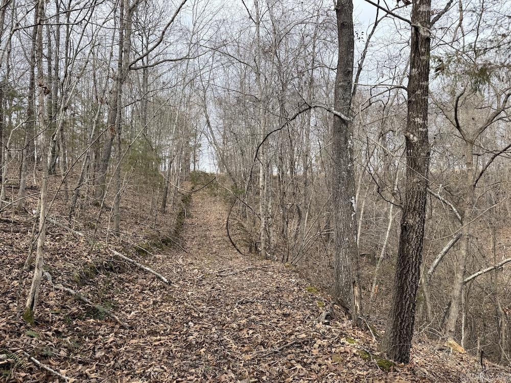 198 Mill Springs Road  Saint Joe, AR