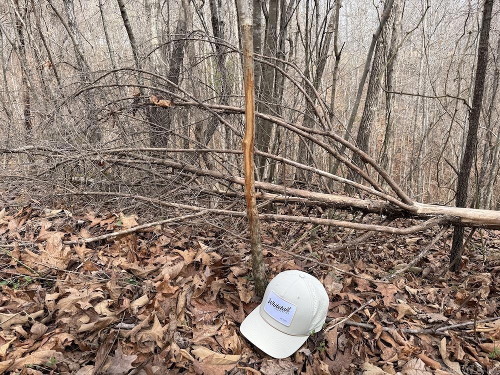 198 Mill Springs Road  Saint Joe, AR