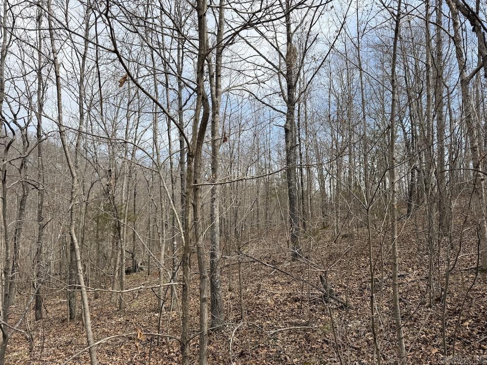 198 Mill Springs Road  Saint Joe, AR