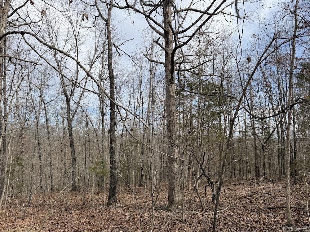 198 Mill Springs Road  Saint Joe, AR