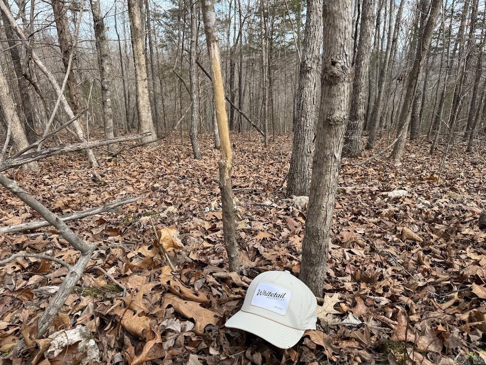 198 Mill Springs Road  Saint Joe, AR