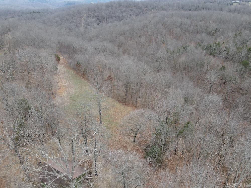 198 Mill Springs Road  Saint Joe, AR