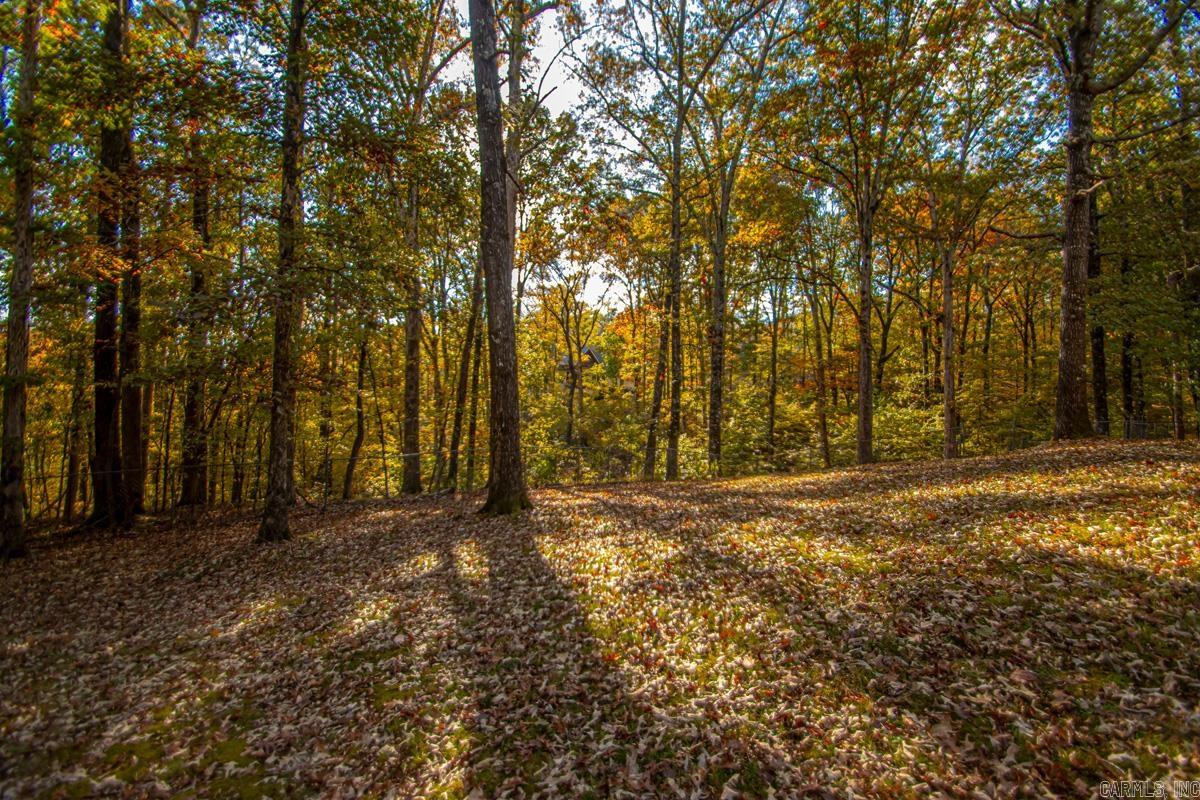 3500 HWY 5  Benton, AR