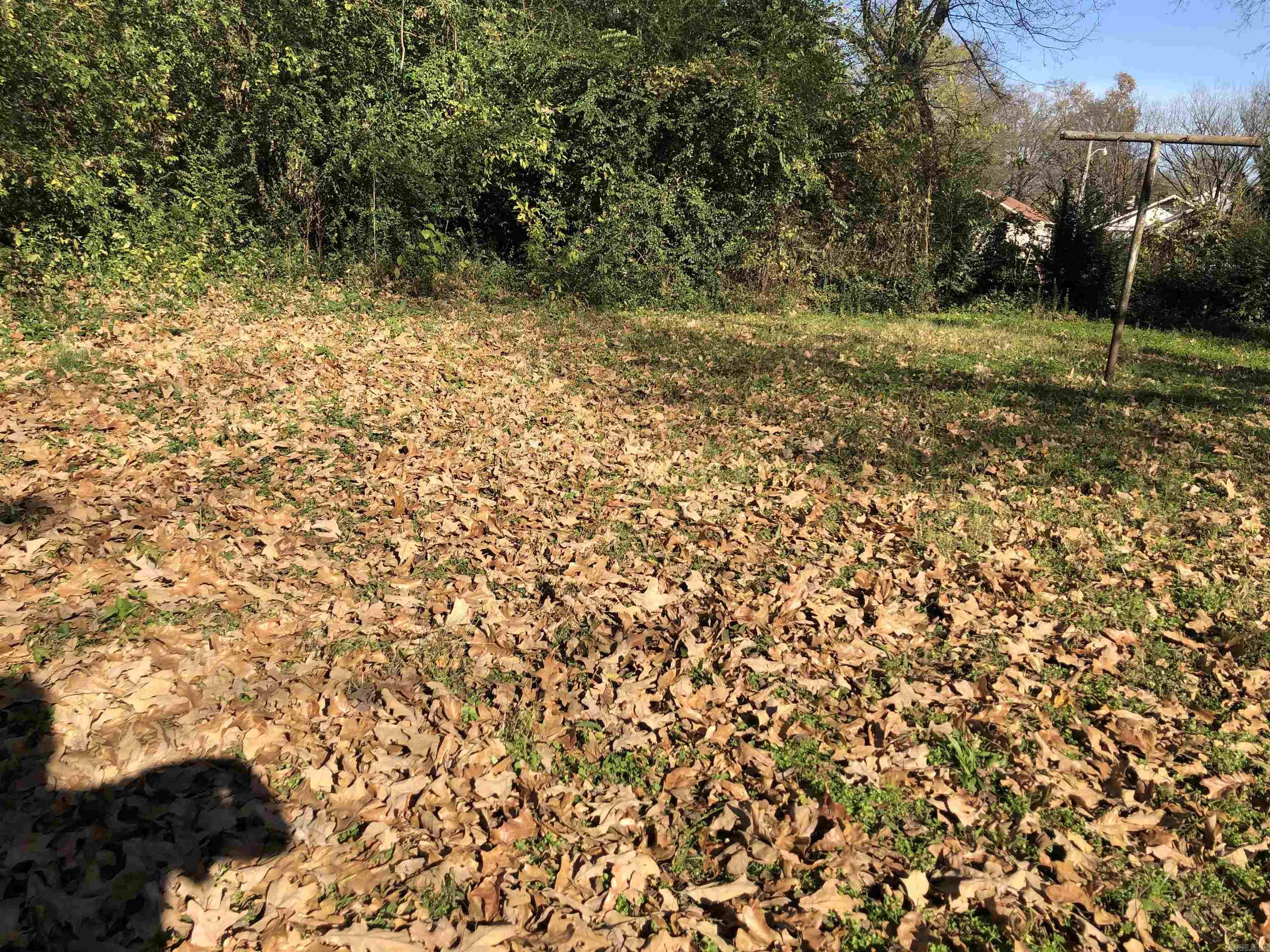 1815 Rice  Little Rock, AR