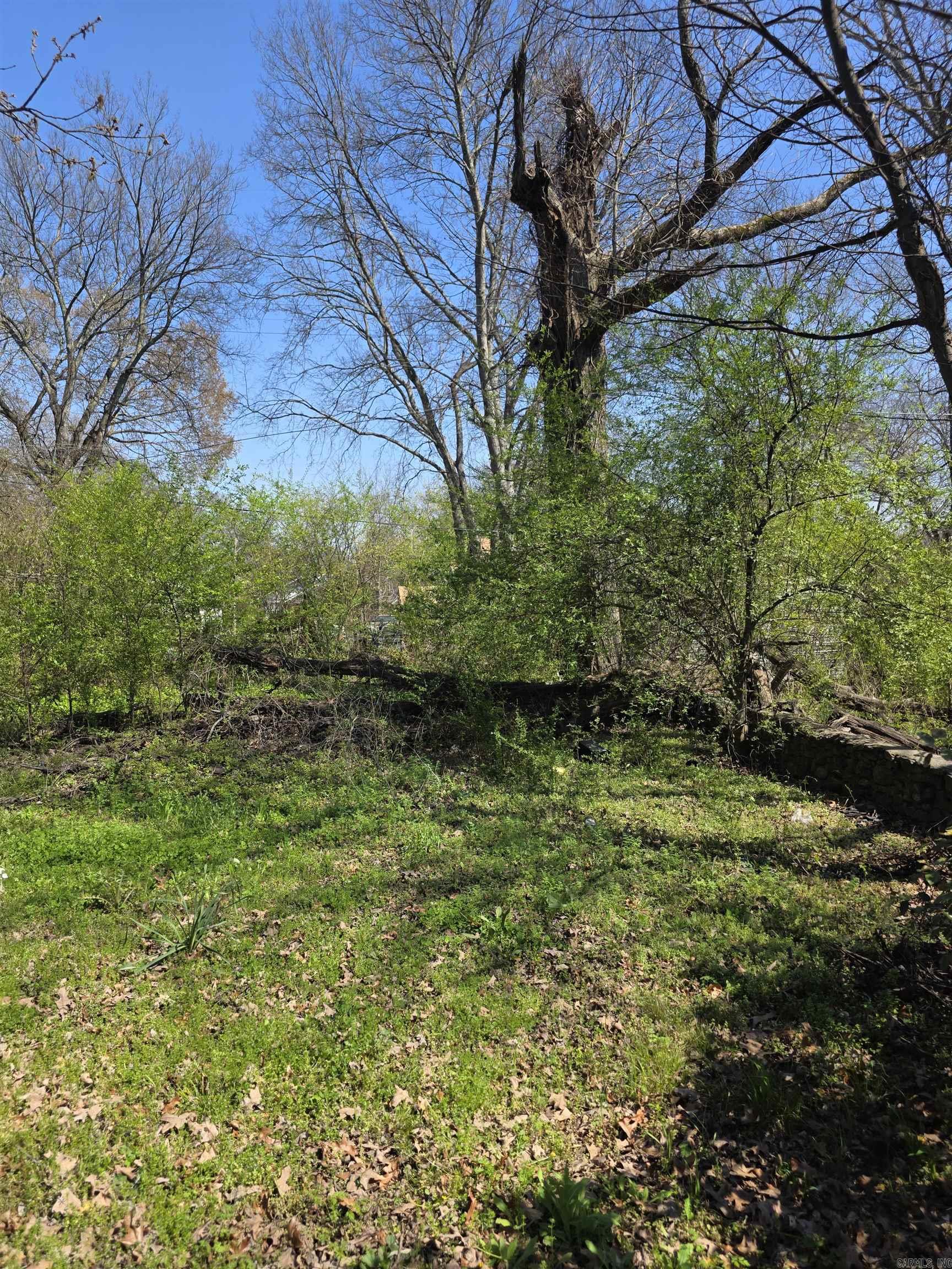 1815 Rice  Little Rock, AR