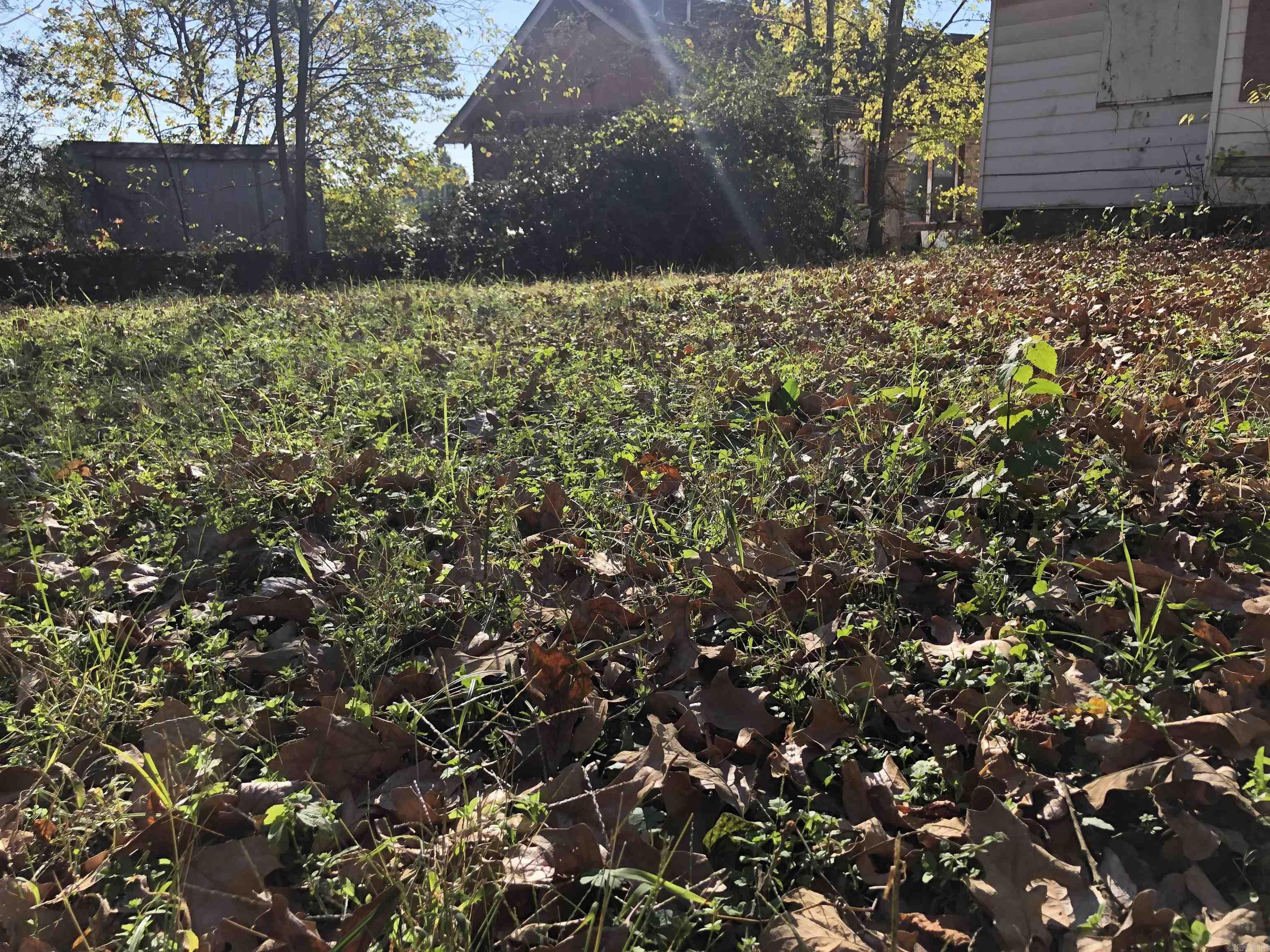 1815 Rice  Little Rock, AR