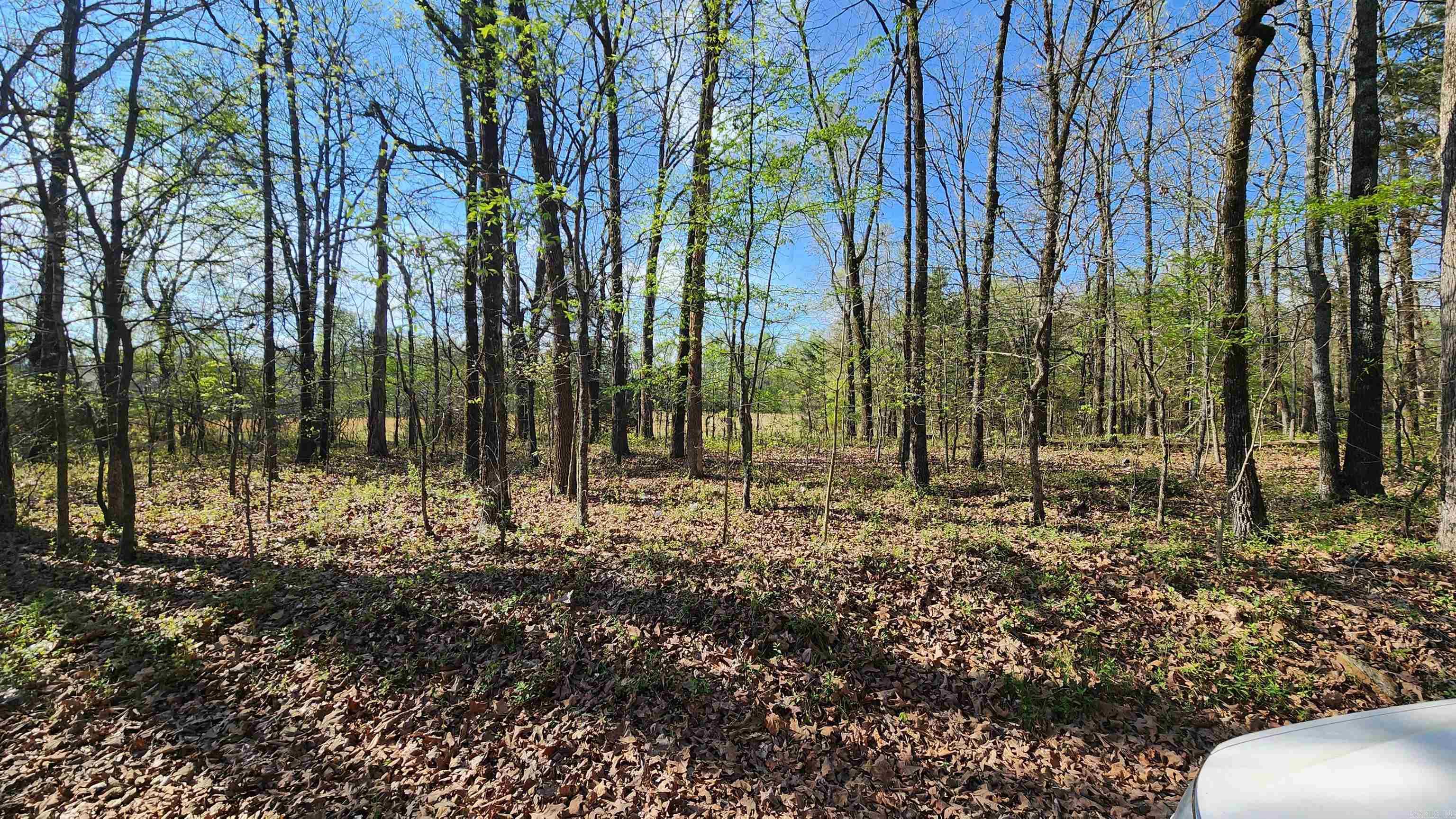 25 Graddy  Vilonia, AR