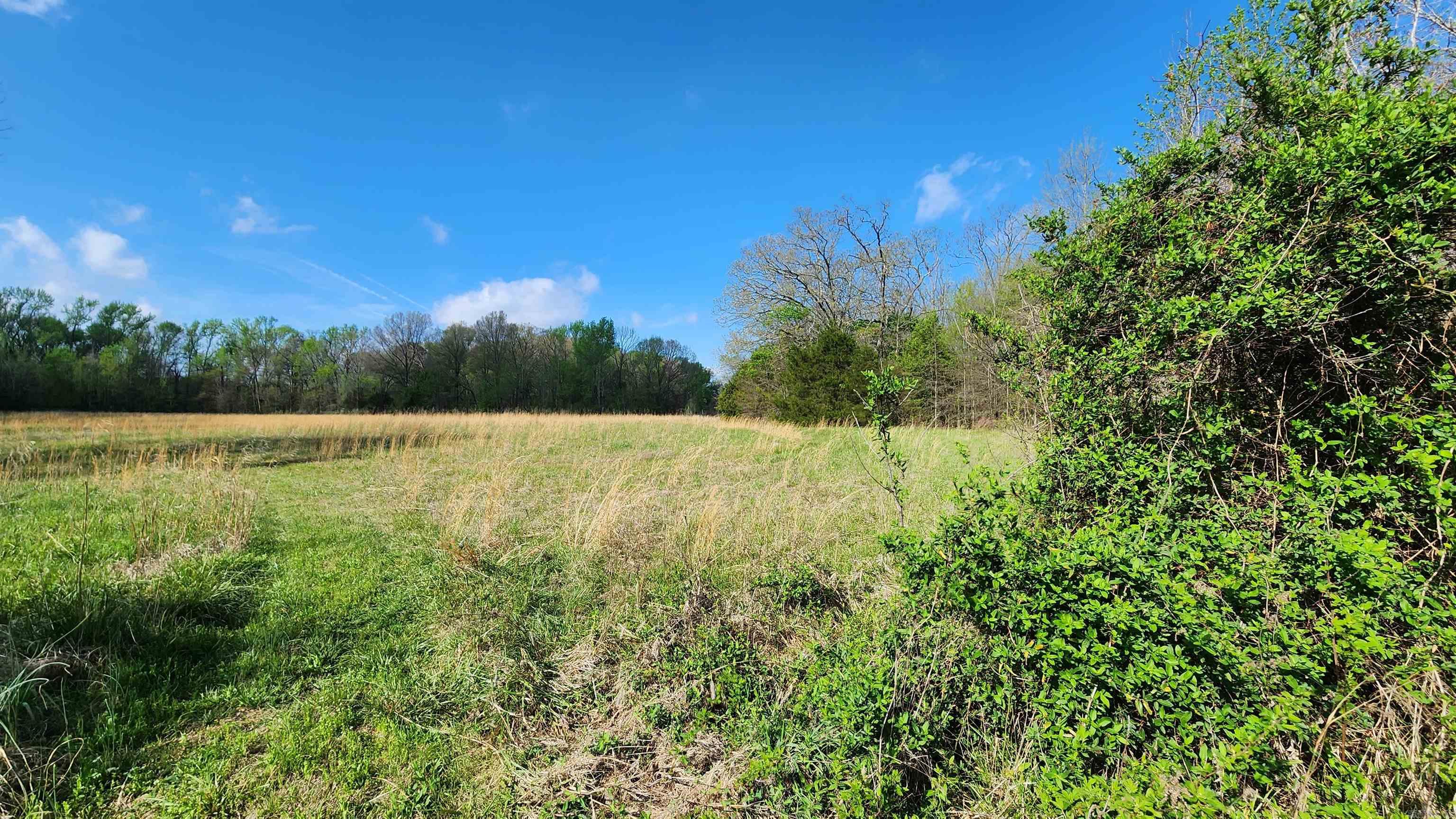 25 Graddy  Vilonia, AR