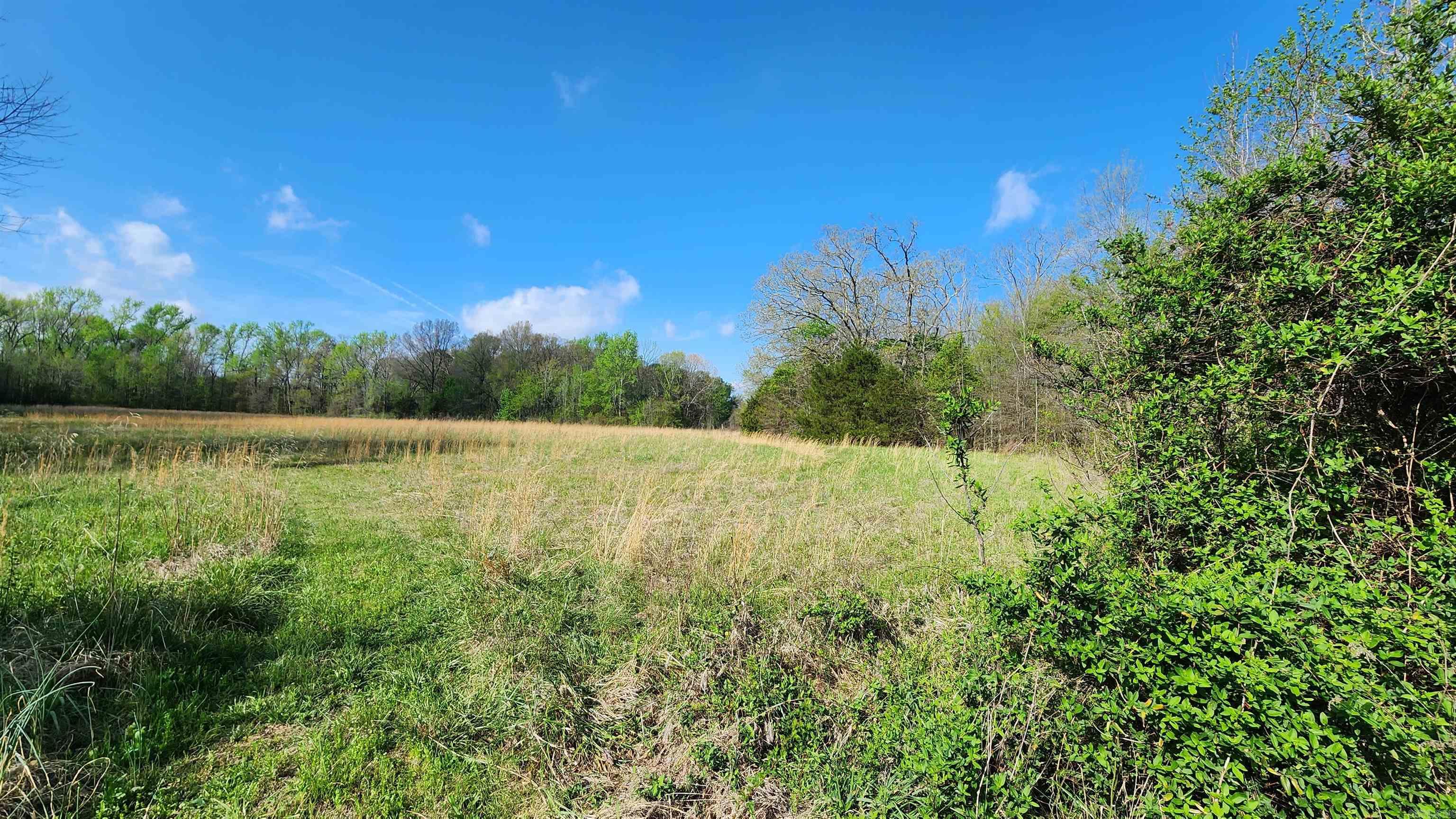 25 Graddy  Vilonia, AR