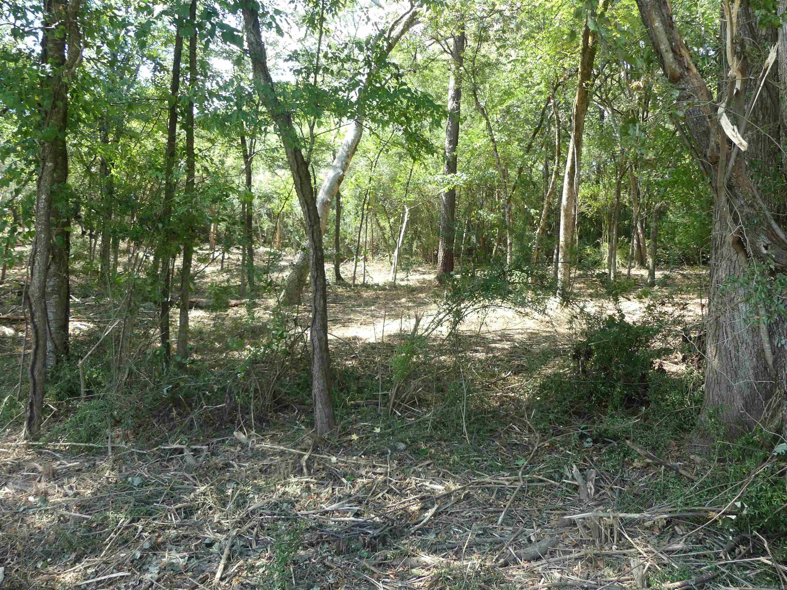 000 Cozy Acres  Mountain Pine, AR