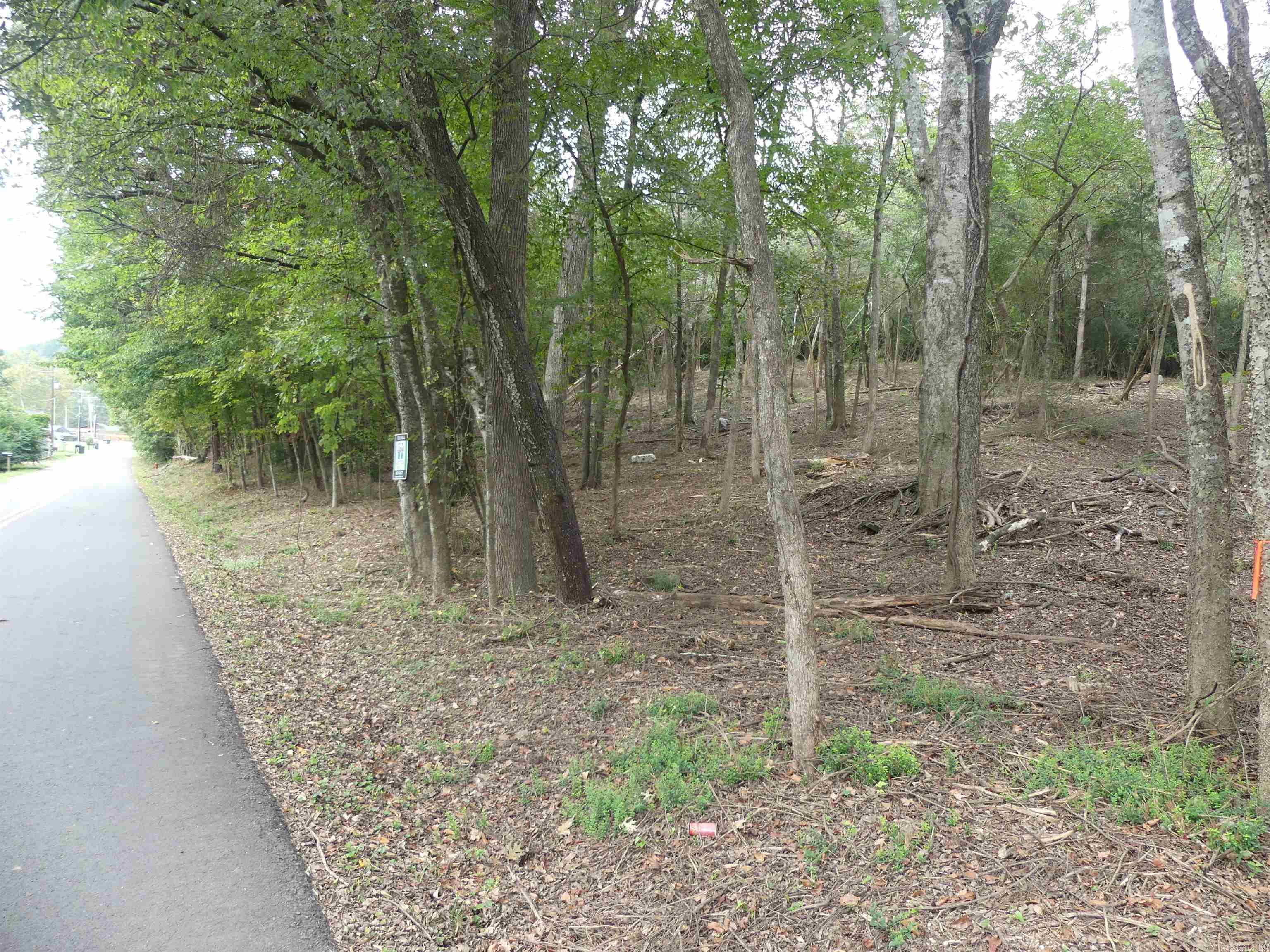 000 Cozy Acres  Mountain Pine, AR