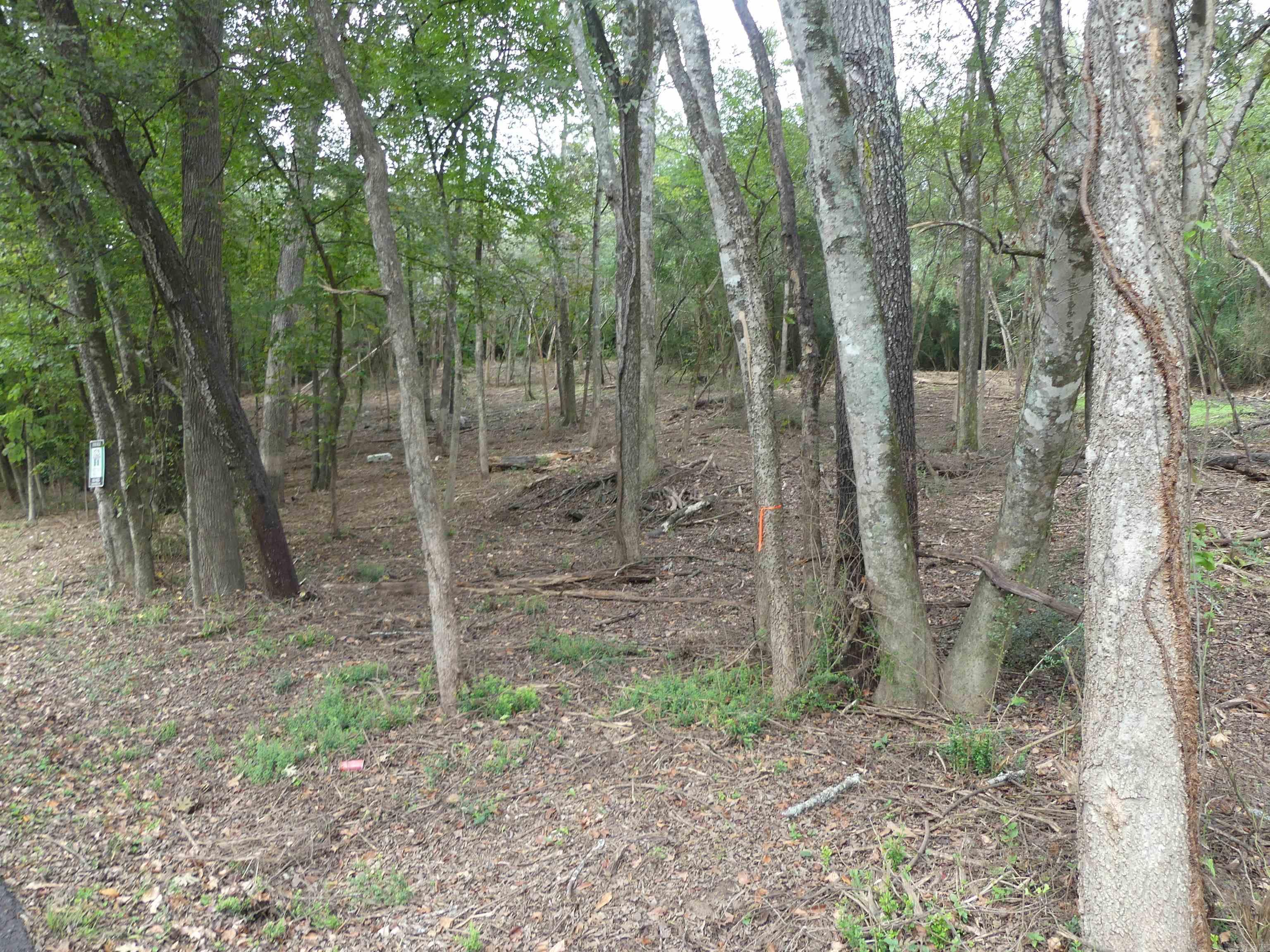 000 Cozy Acres  Mountain Pine, AR