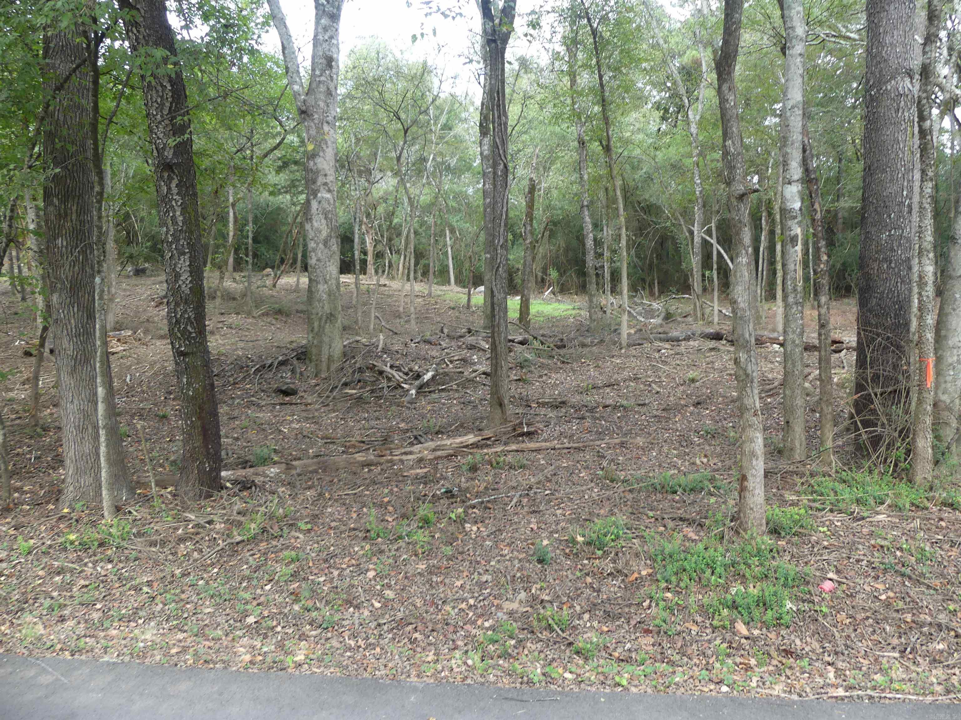 000 Cozy Acres  Mountain Pine, AR