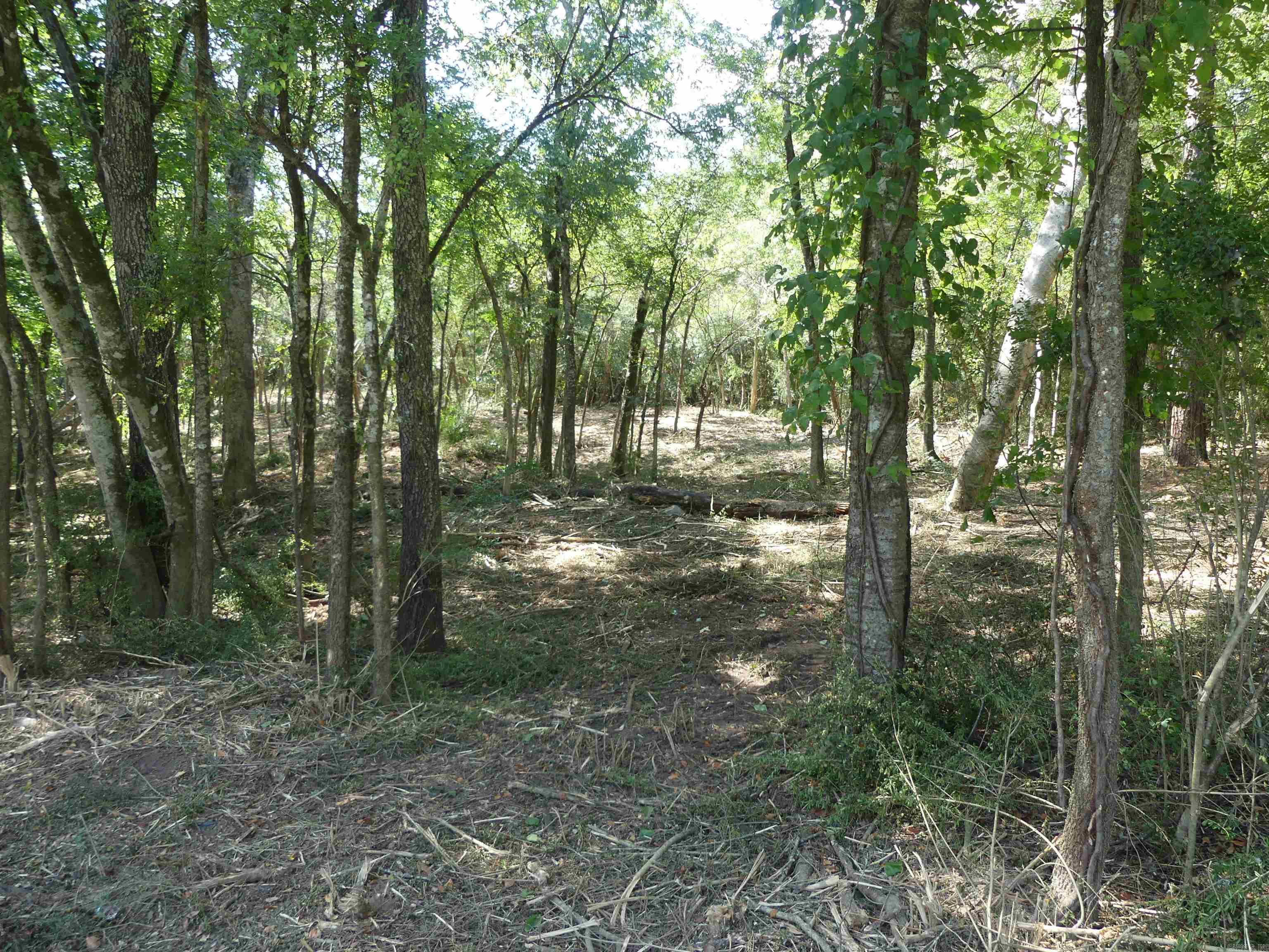 000 Cozy Acres  Mountain Pine, AR