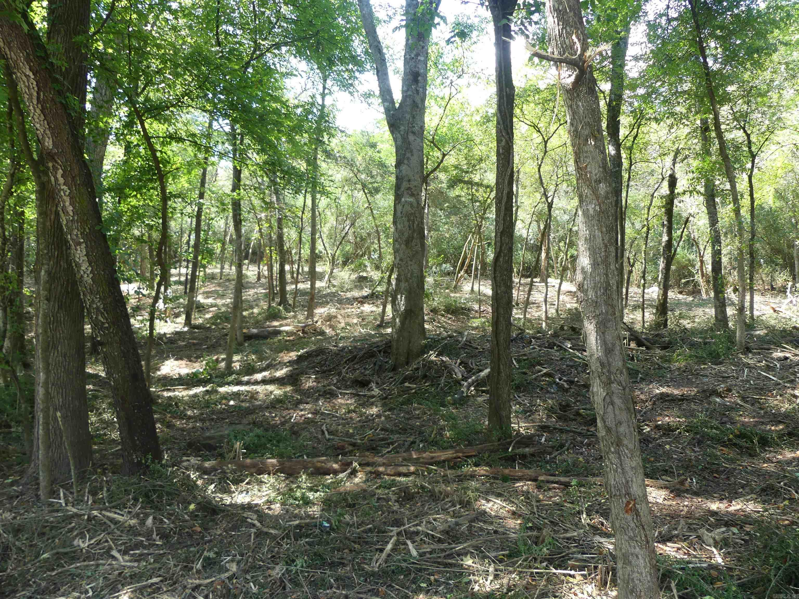 000 Cozy Acres  Mountain Pine, AR