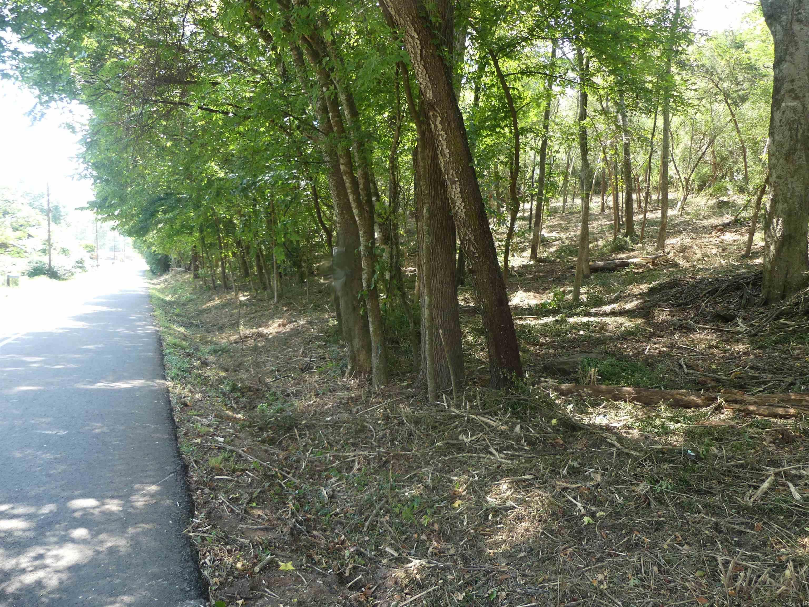 000 Cozy Acres  Mountain Pine, AR