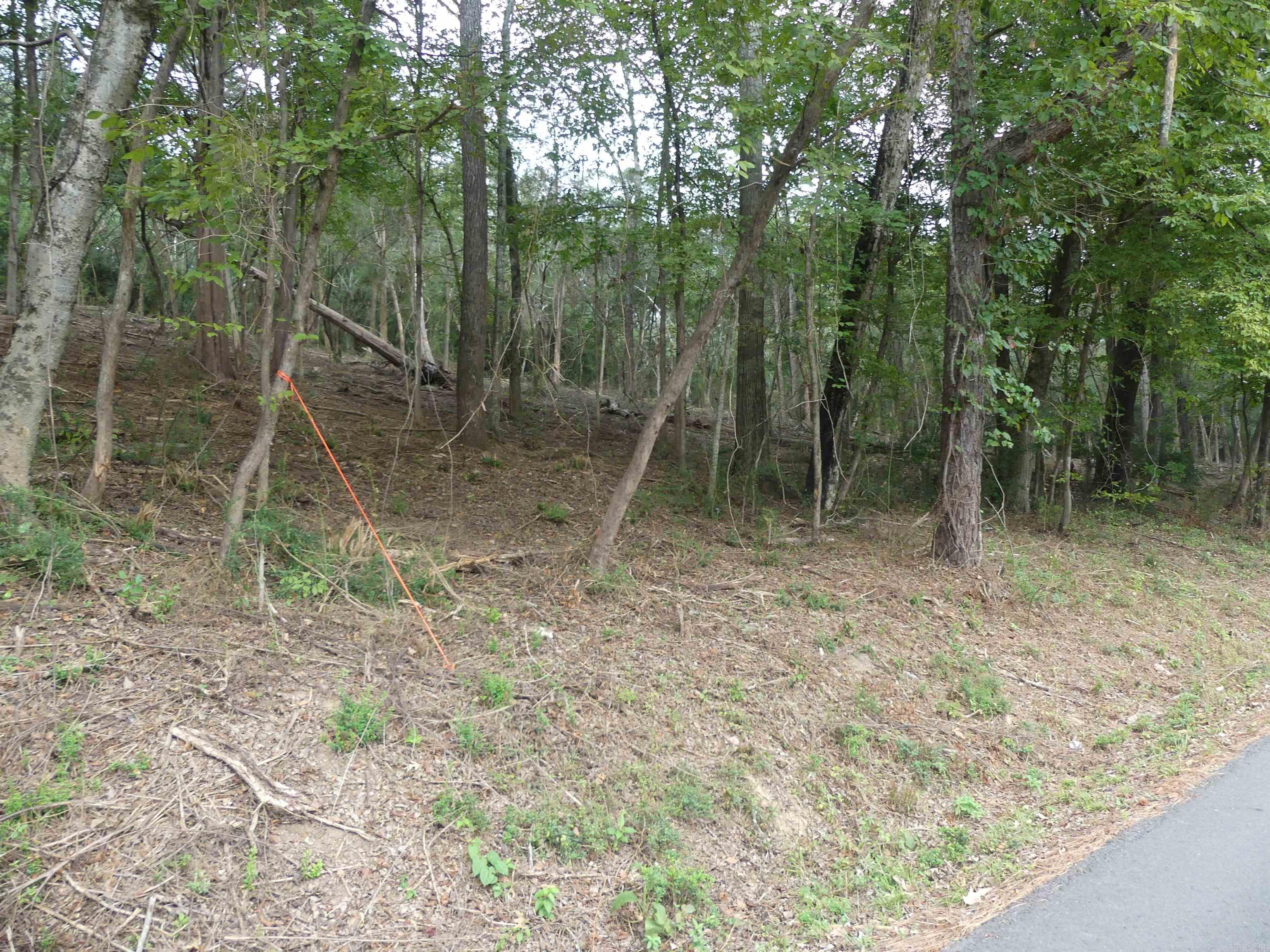 000 Cozy Acres  Mountain Pine, AR