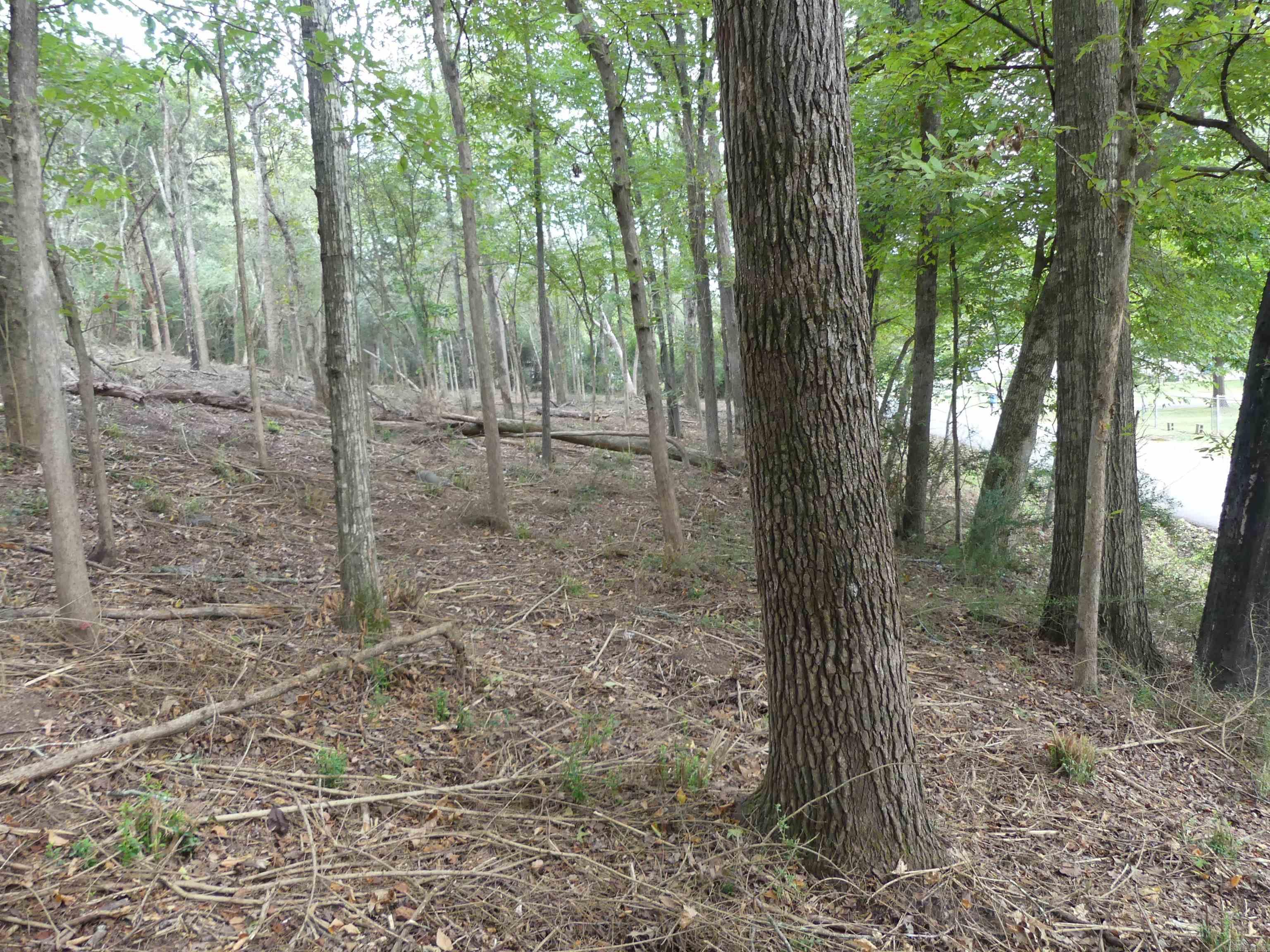 000 Cozy Acres  Mountain Pine, AR