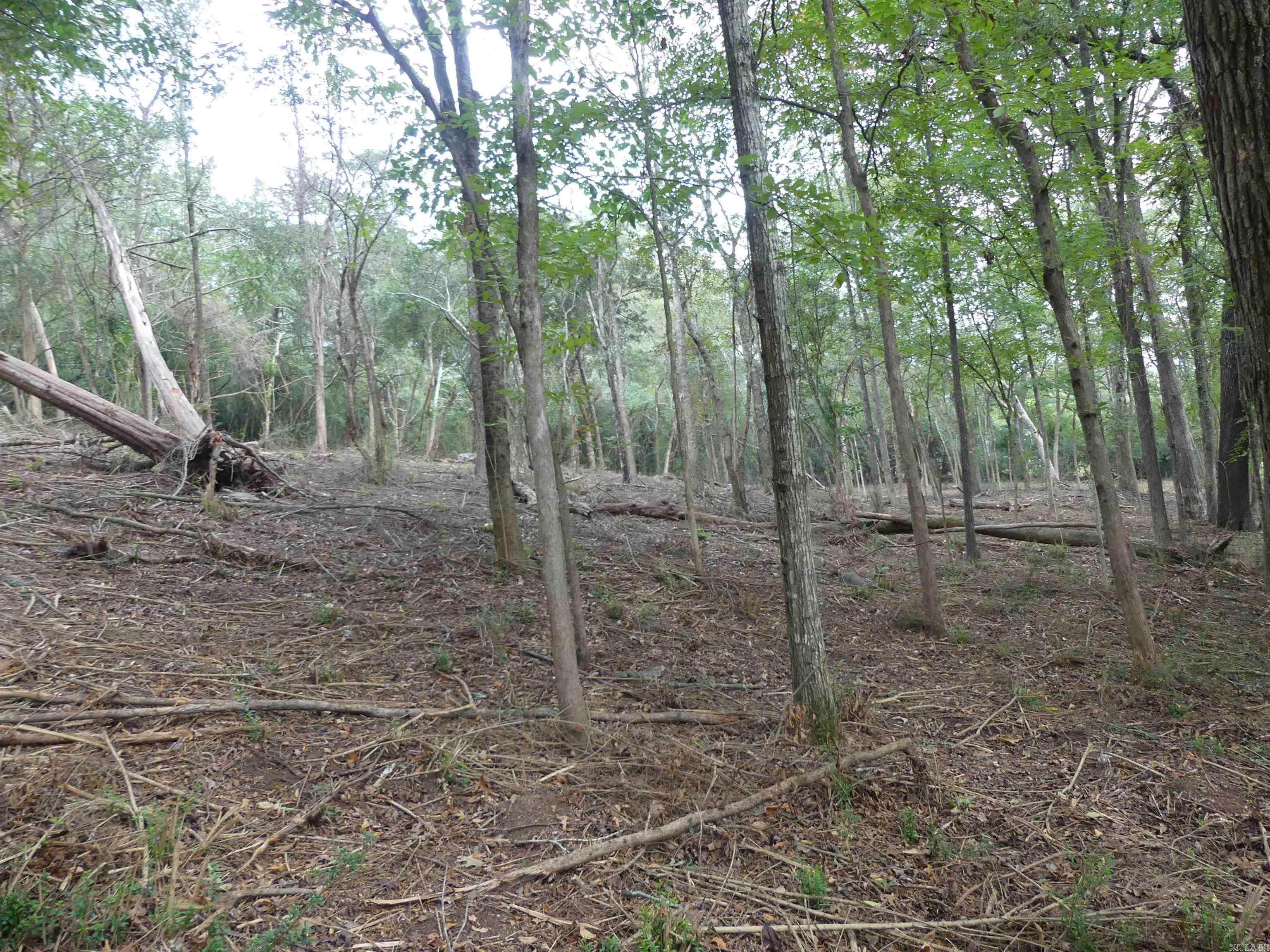 000 Cozy Acres  Mountain Pine, AR