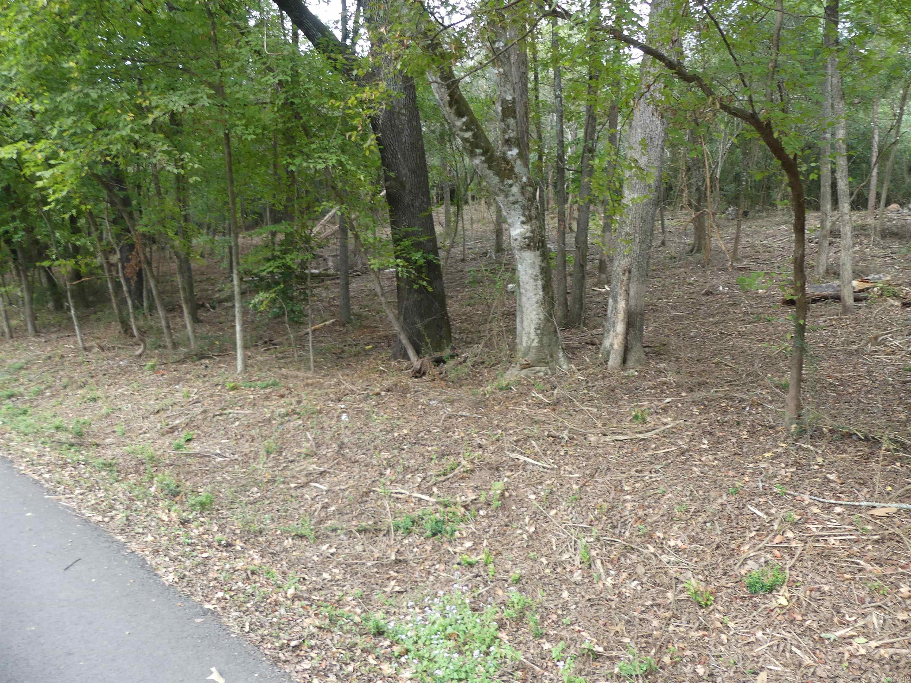 000 Cozy Acres  Mountain Pine, AR