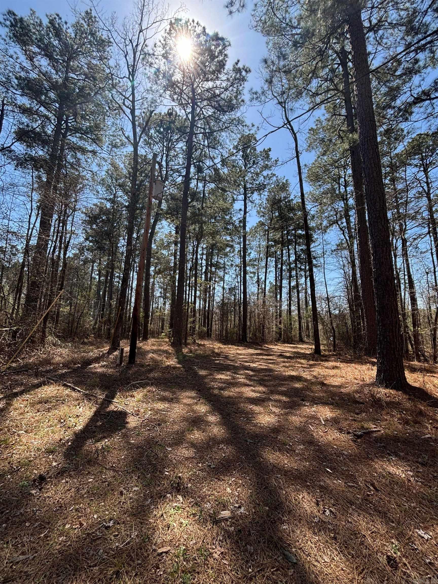  Dunkeffie  Rison, AR