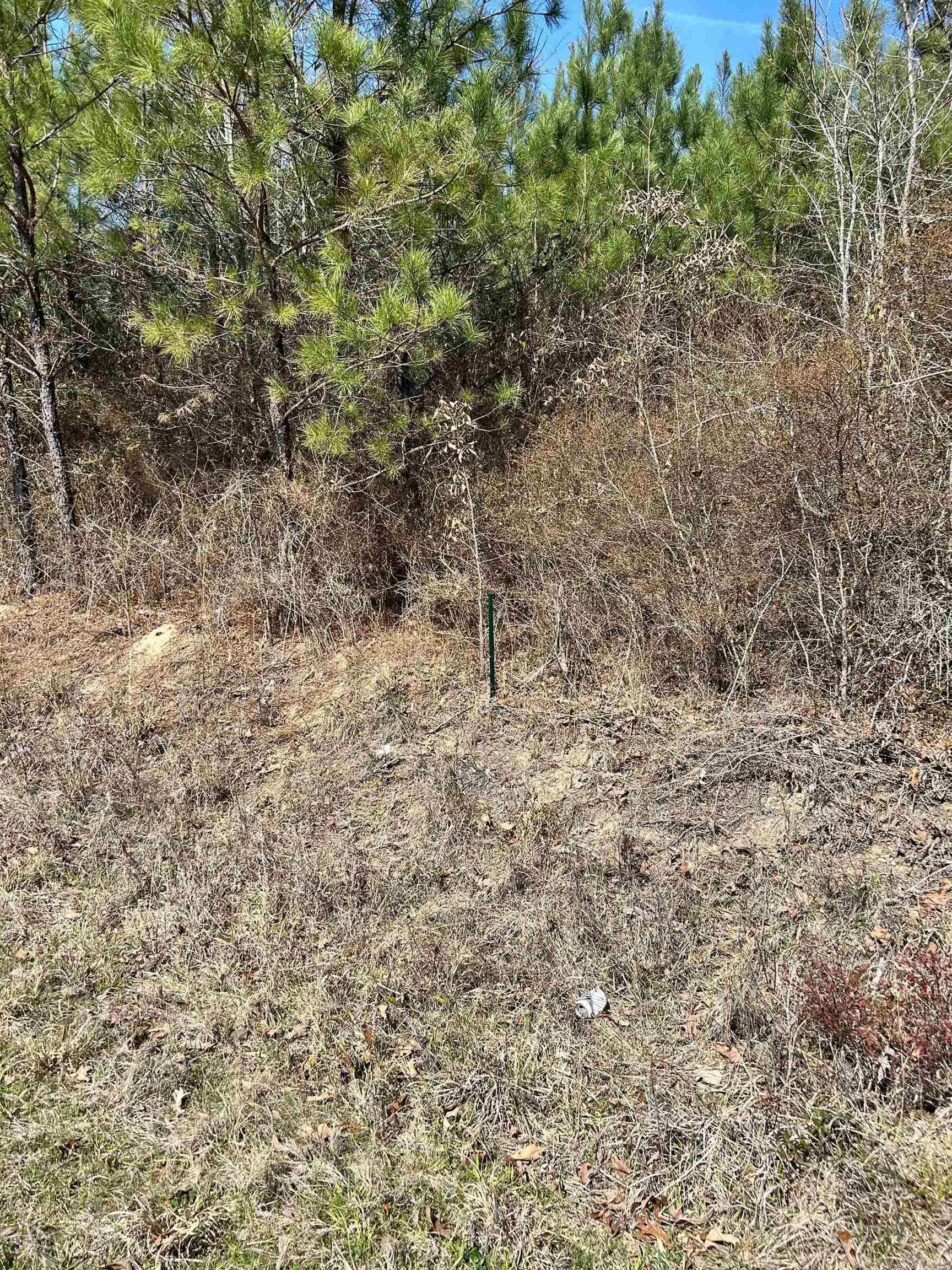  Dunkeffie  Rison, AR