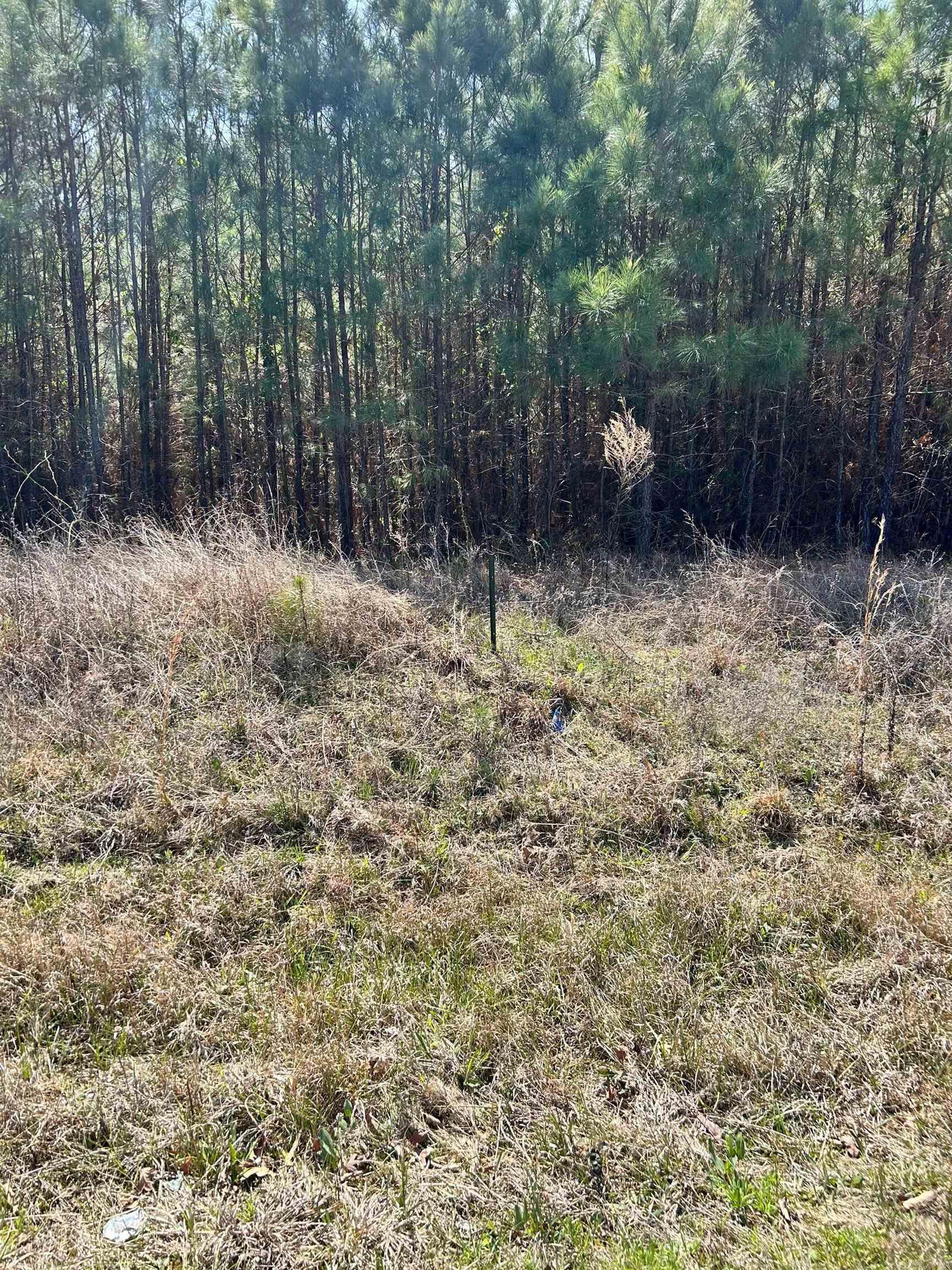  Dunkeffie  Rison, AR