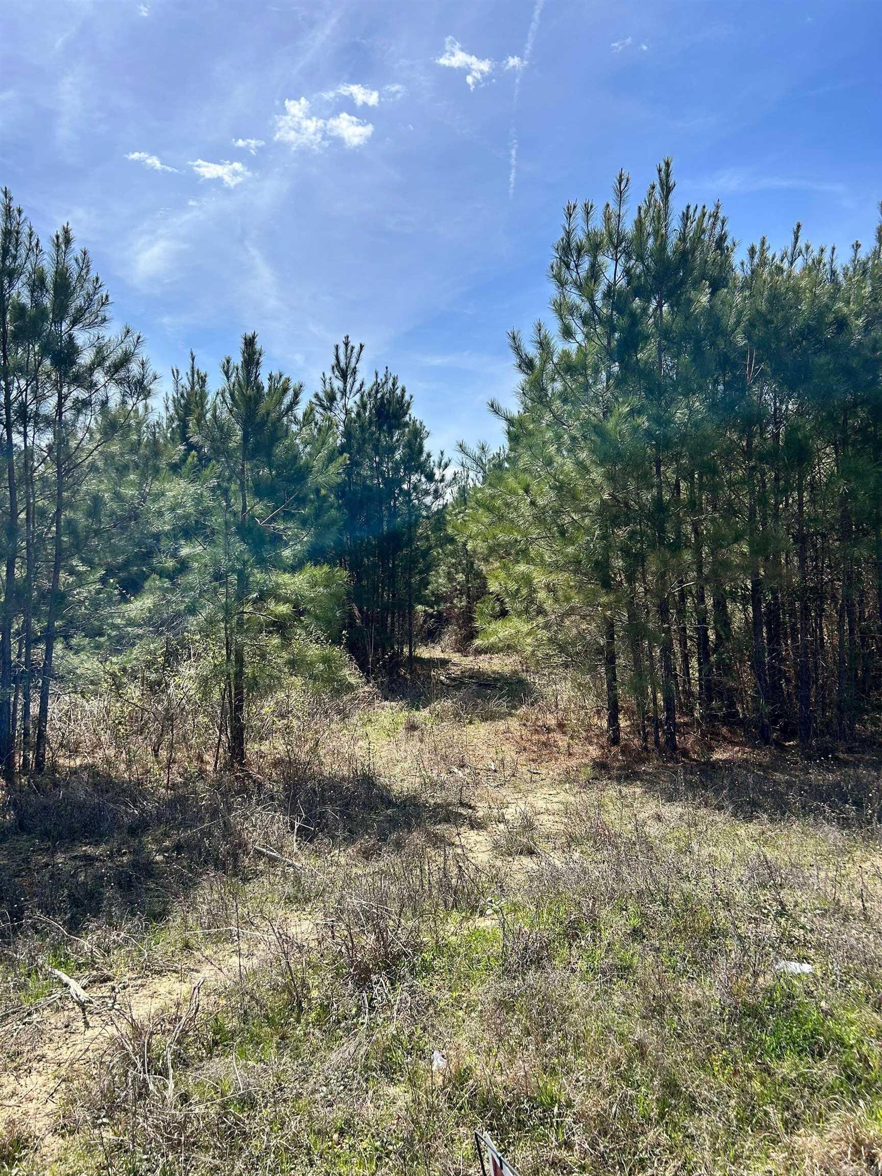  Dunkeffie  Rison, AR