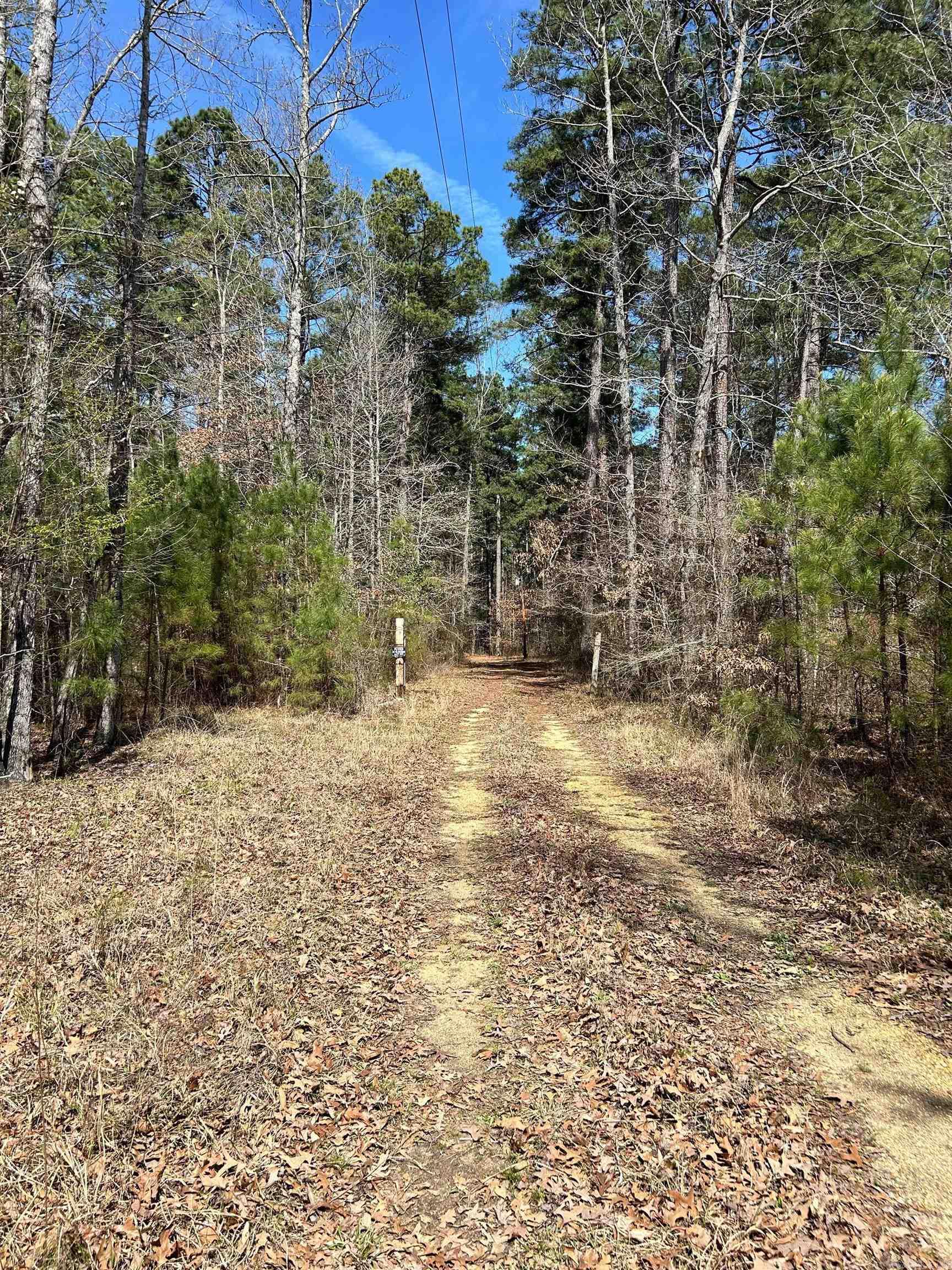  Dunkeffie  Rison, AR