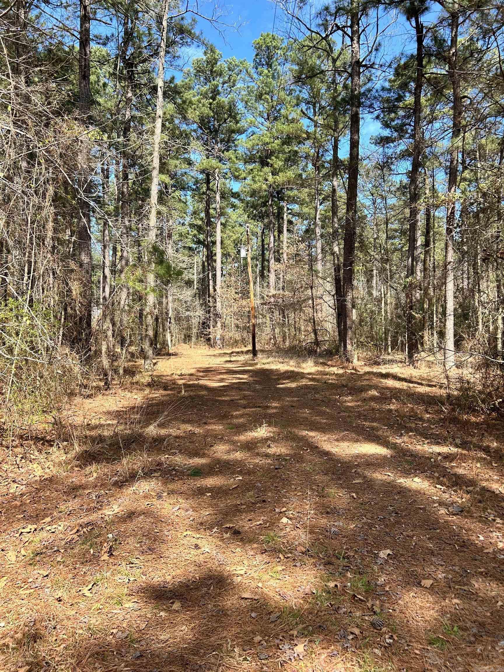  Dunkeffie  Rison, AR