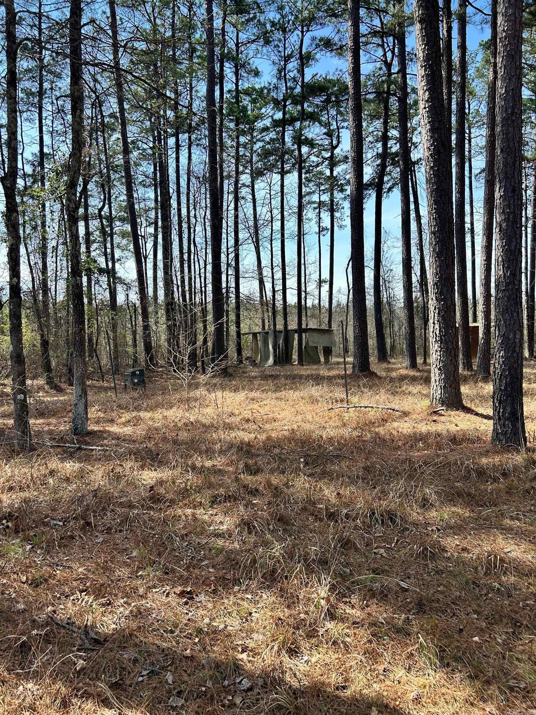  Dunkeffie  Rison, AR