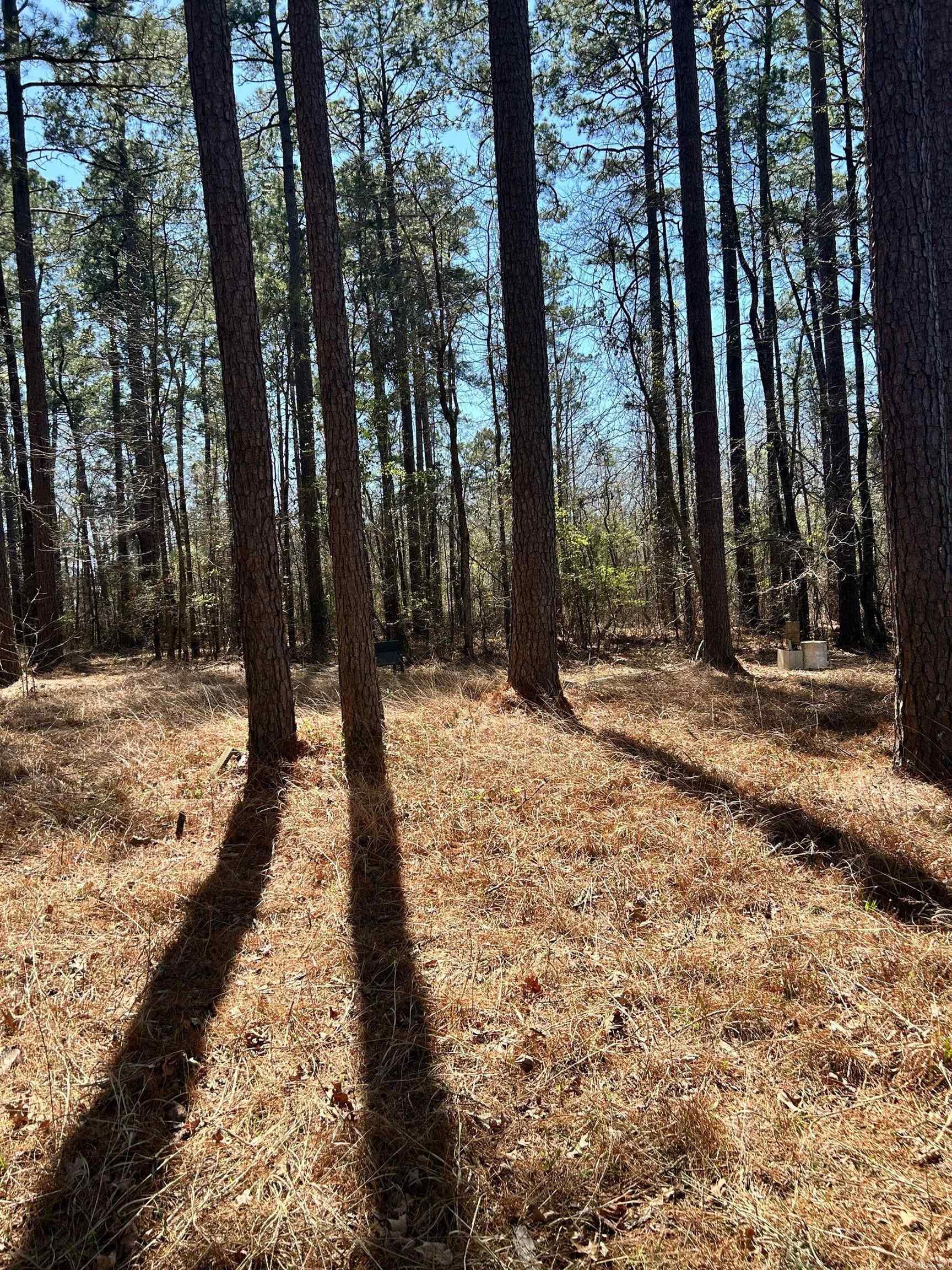  Dunkeffie  Rison, AR