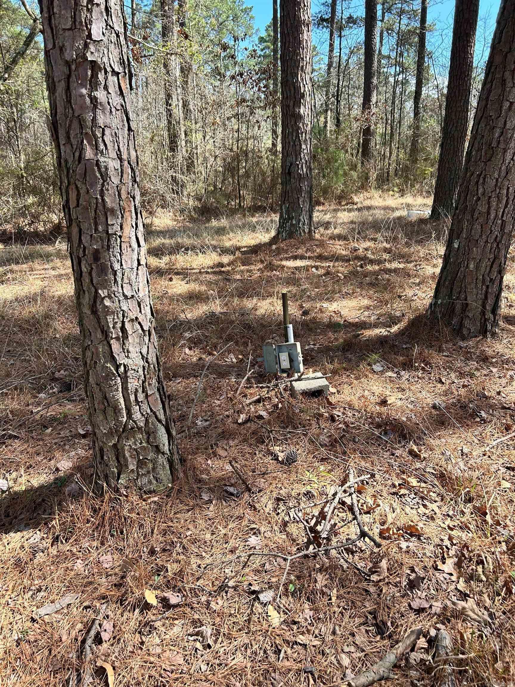  Dunkeffie  Rison, AR