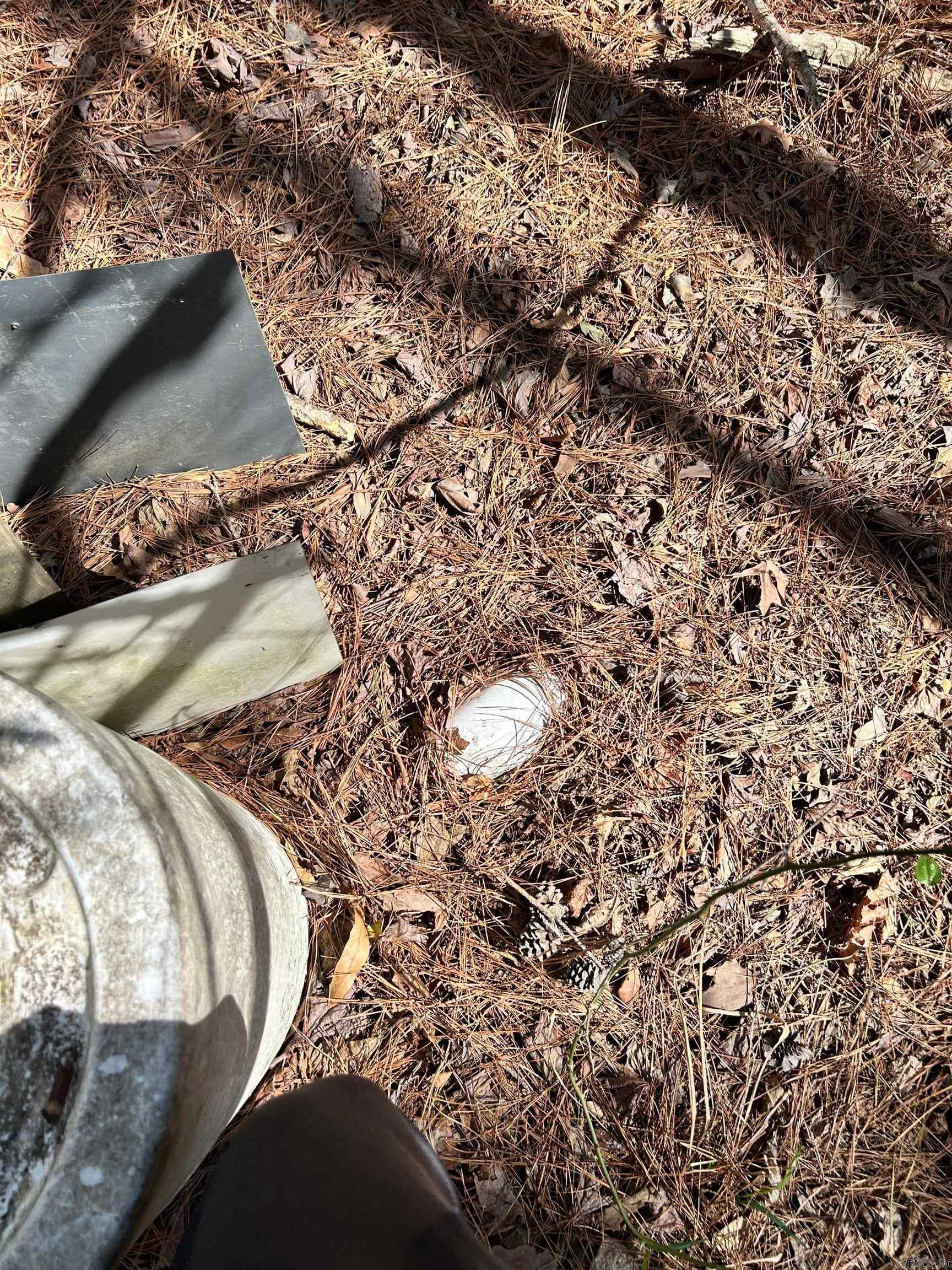  Dunkeffie  Rison, AR