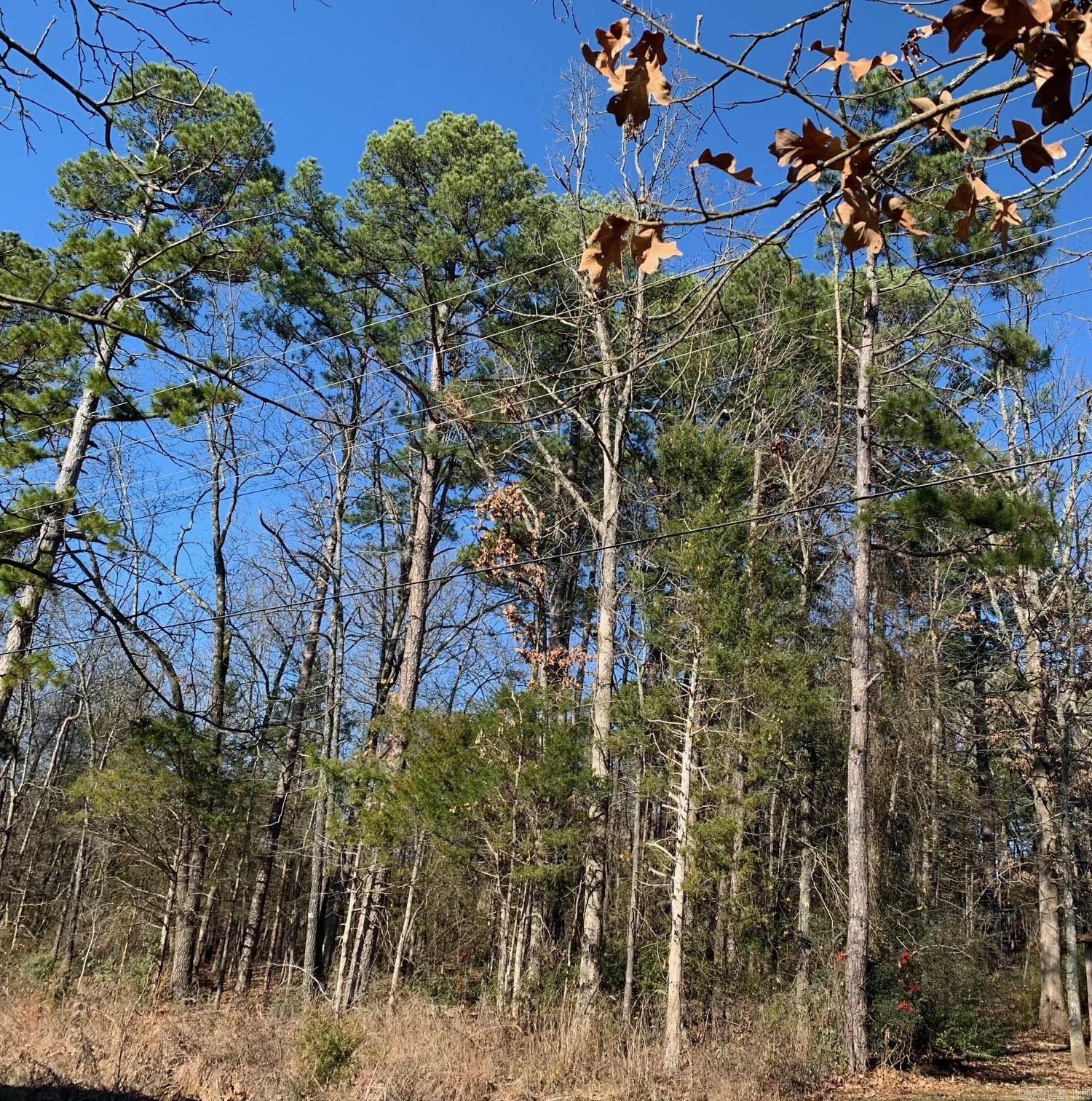 Lot 4 Thelma  Heber Springs, AR