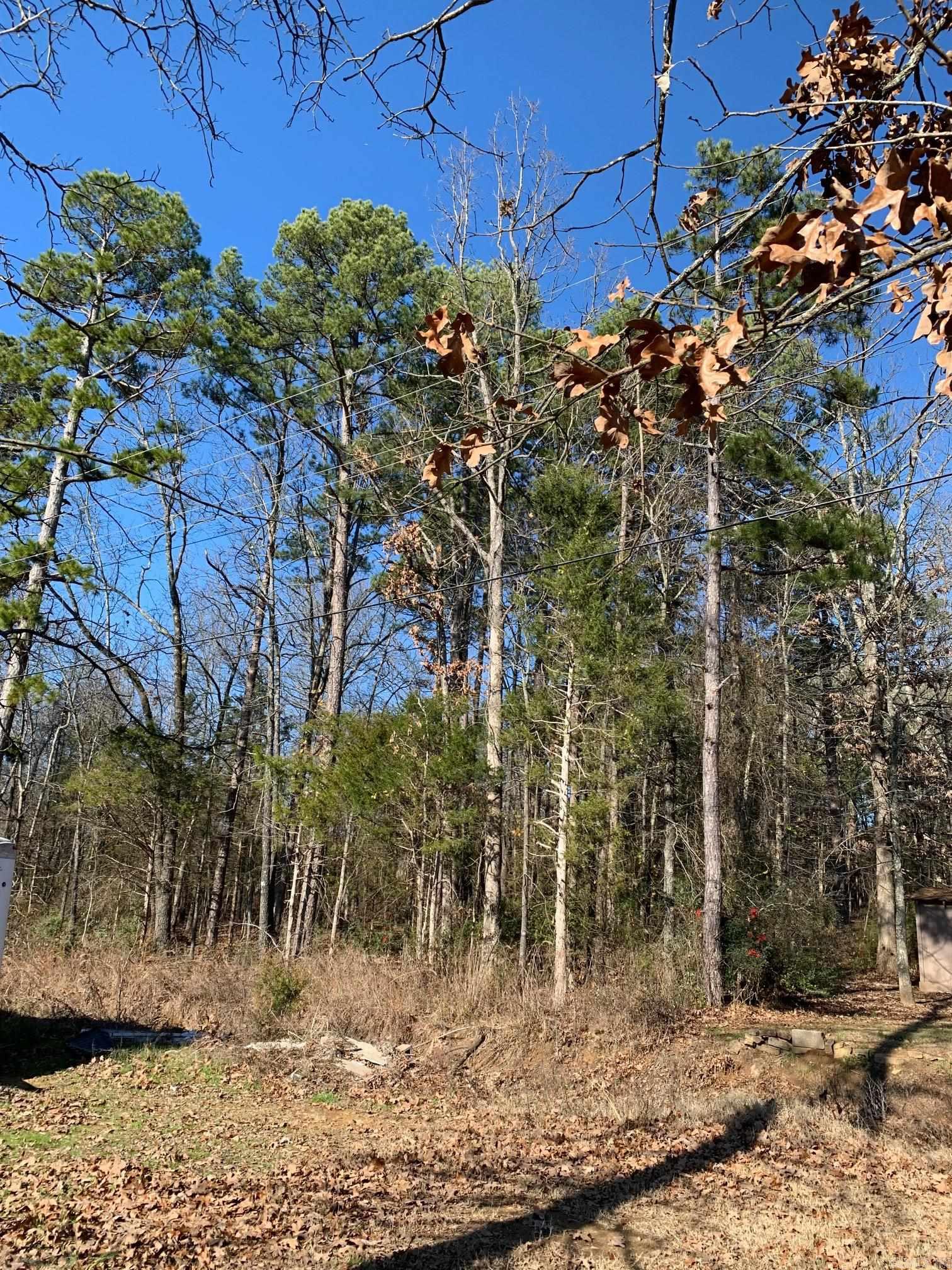 Lot 4 Thelma  Heber Springs, AR