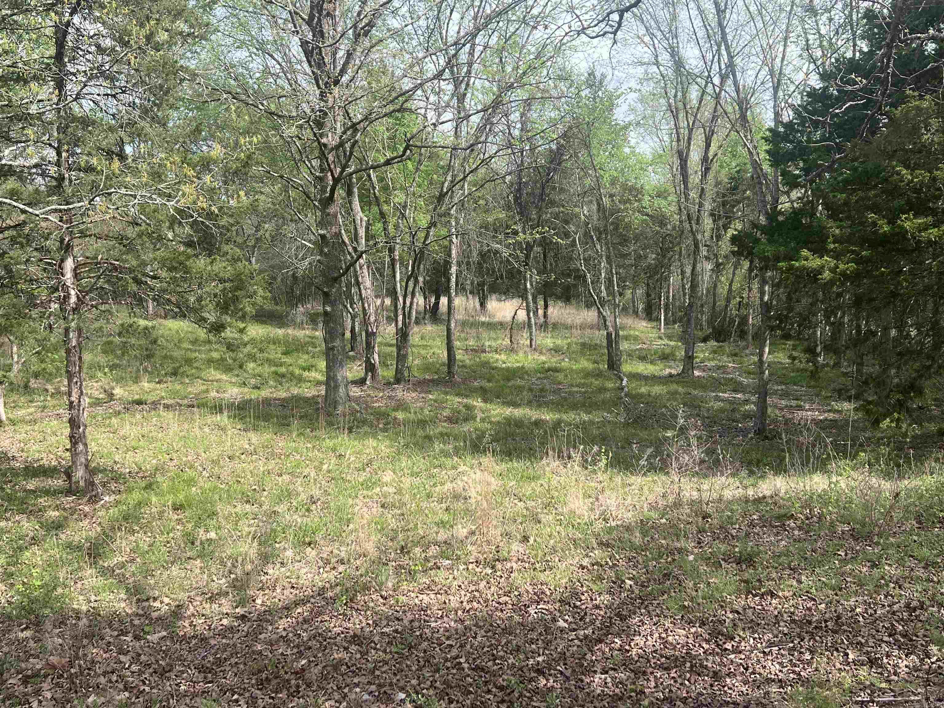 0 Burlingame Road  Little Rock, AR