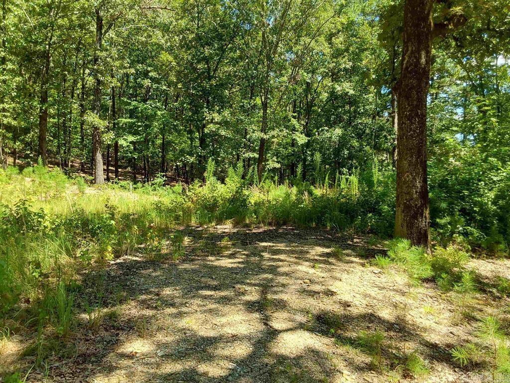 615 Rio Lane  Little Rock, AR