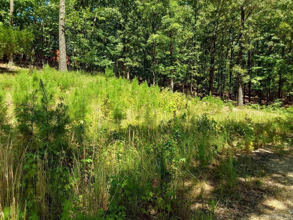 615 Rio Lane  Little Rock, AR